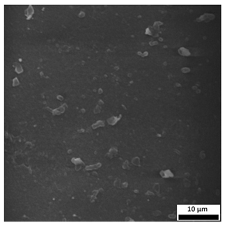 Materials 18 03118 i015