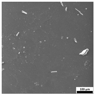 Materials 18 03118 i016