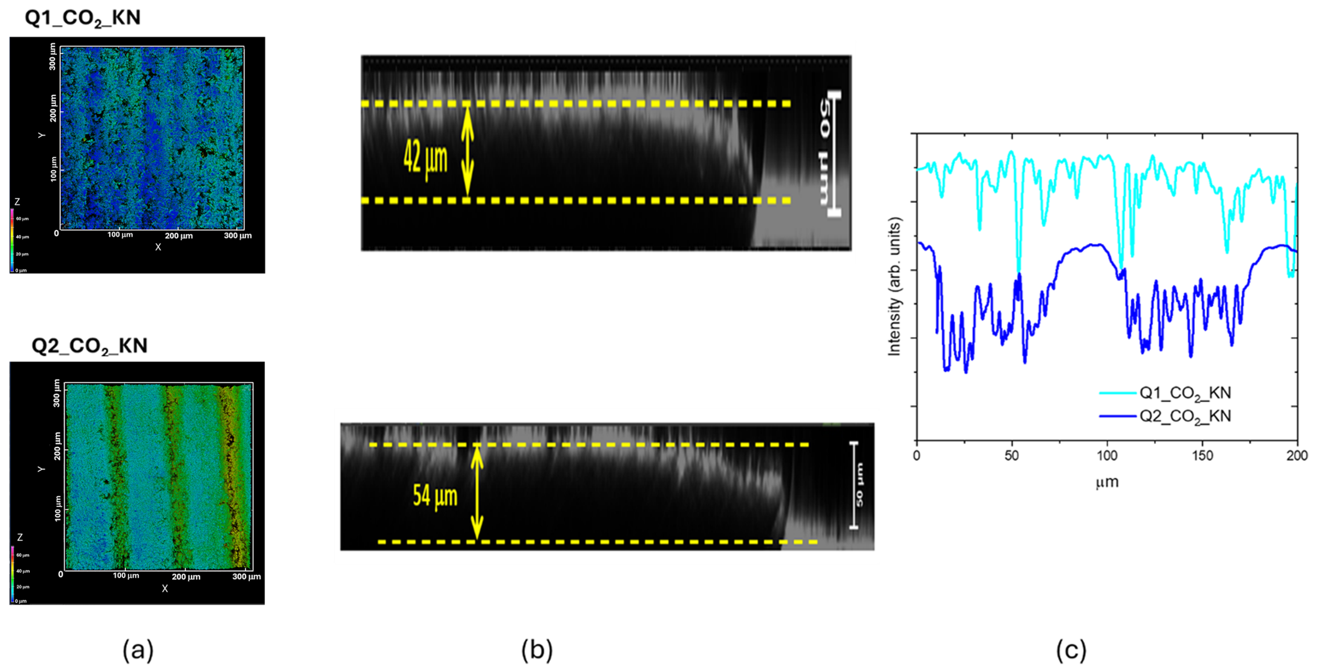 Materials 18 03119 g011