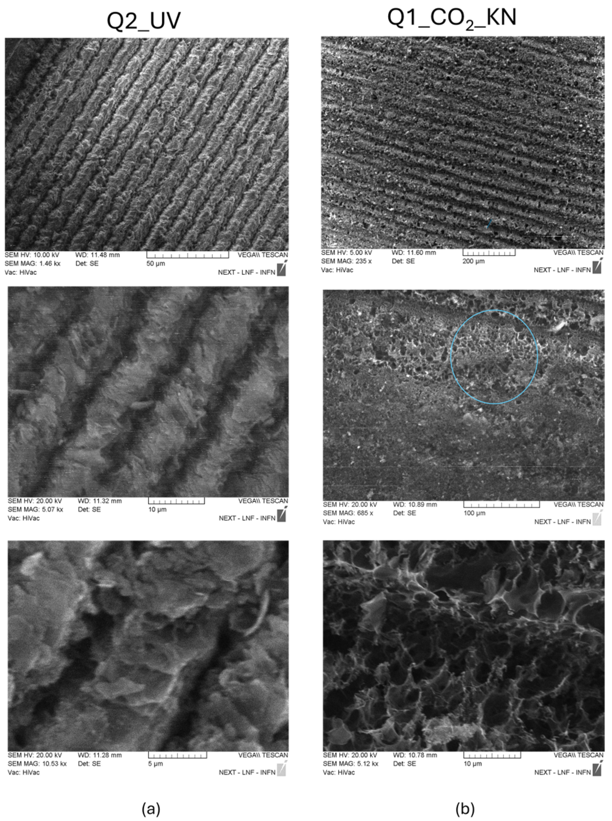 Materials 18 03119 g012