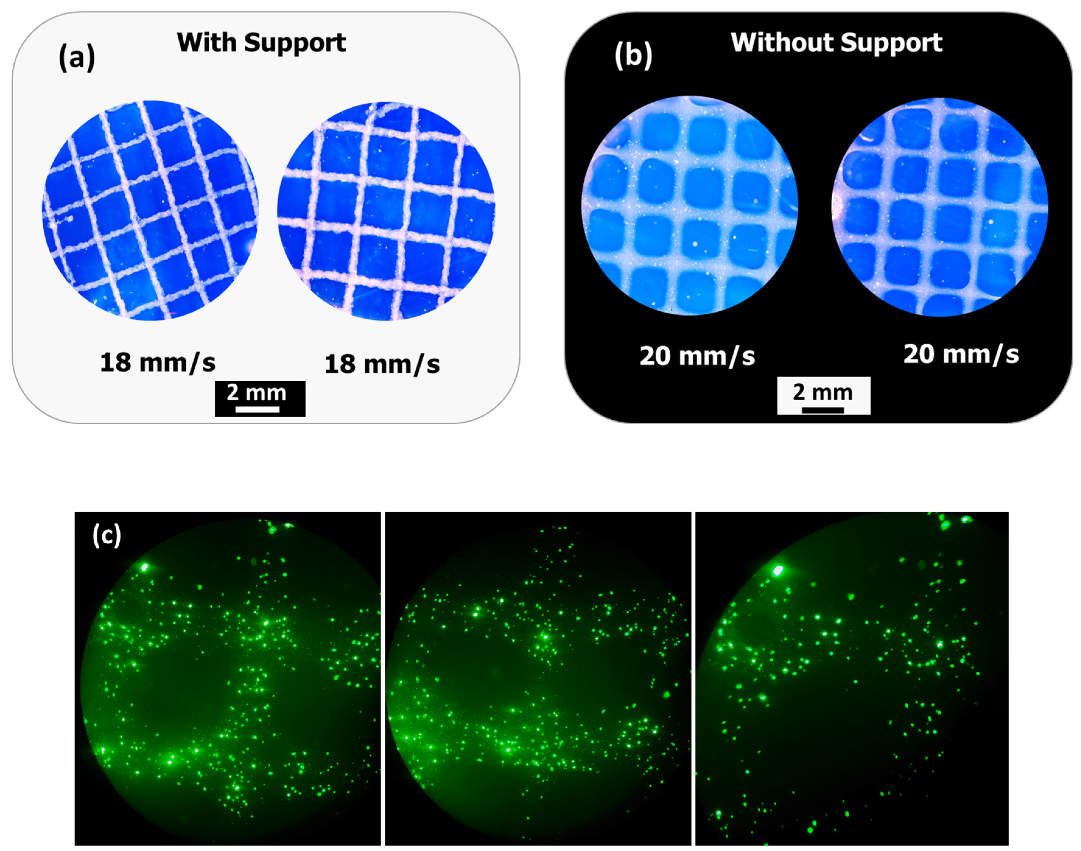 Materials 18 03120 g012