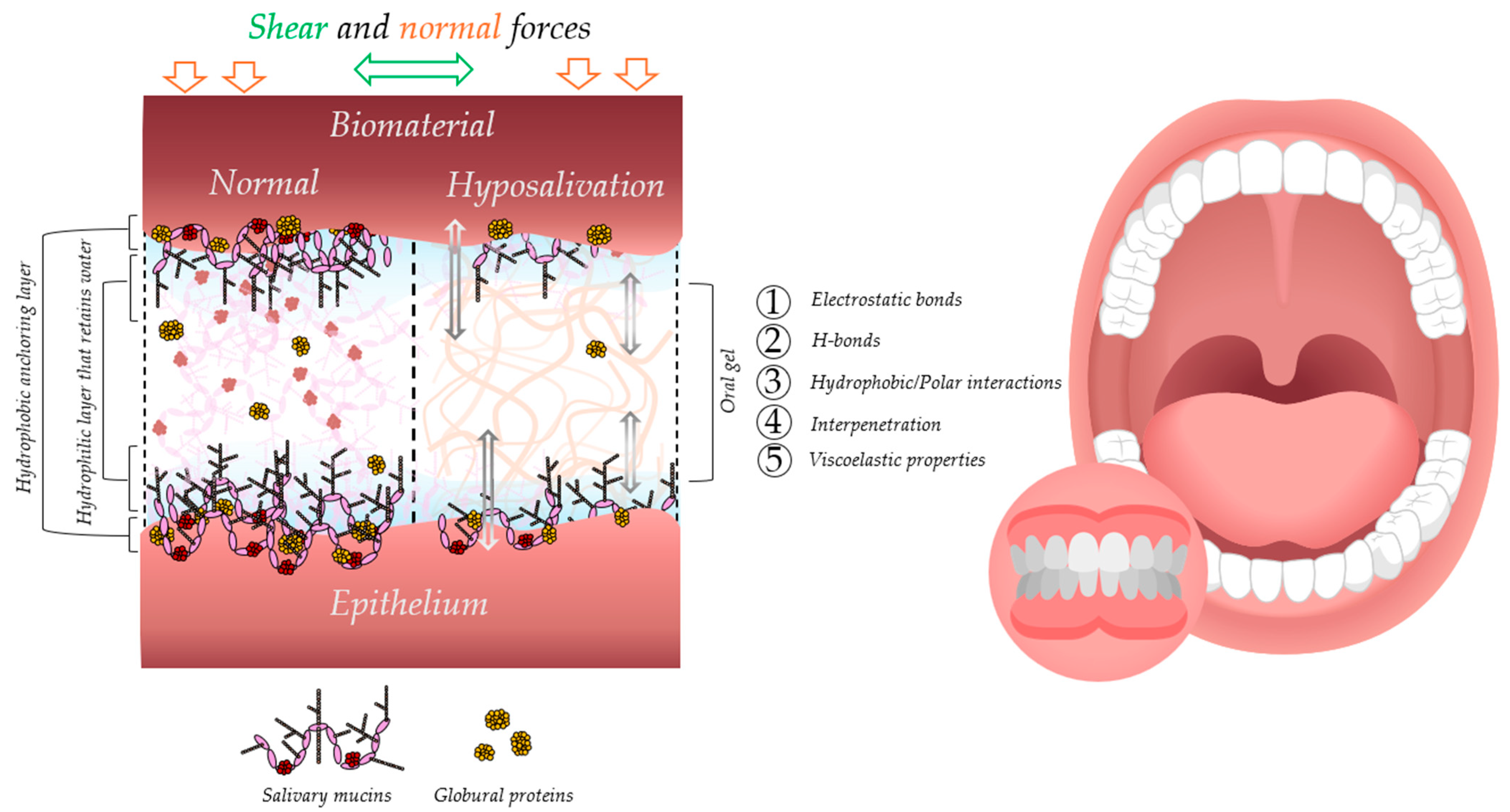 Materials 18 03141 g001