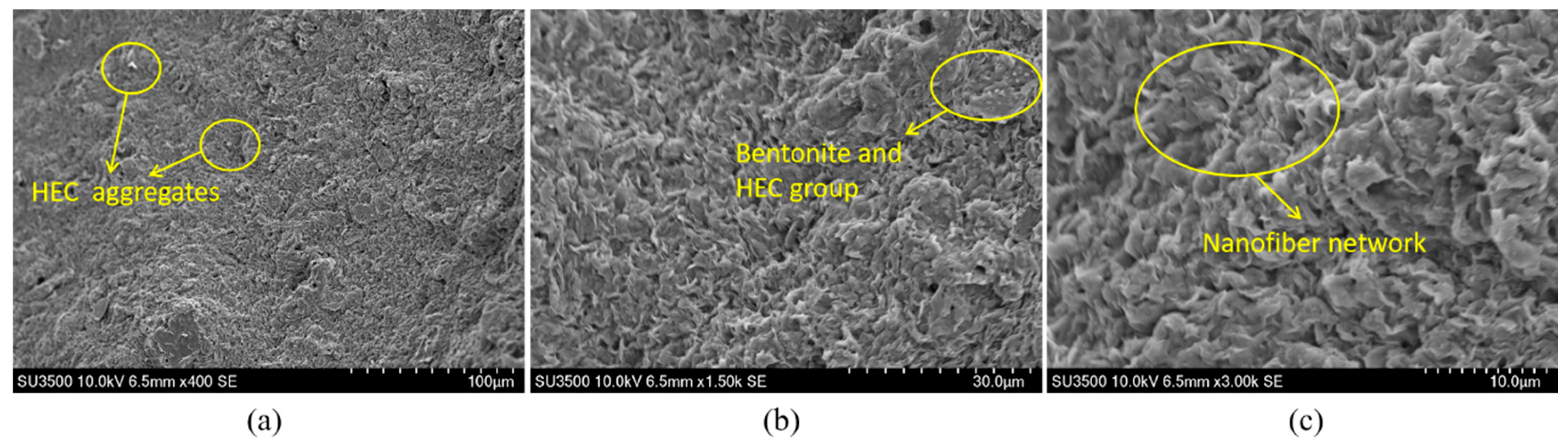 Materials 18 03155 g018