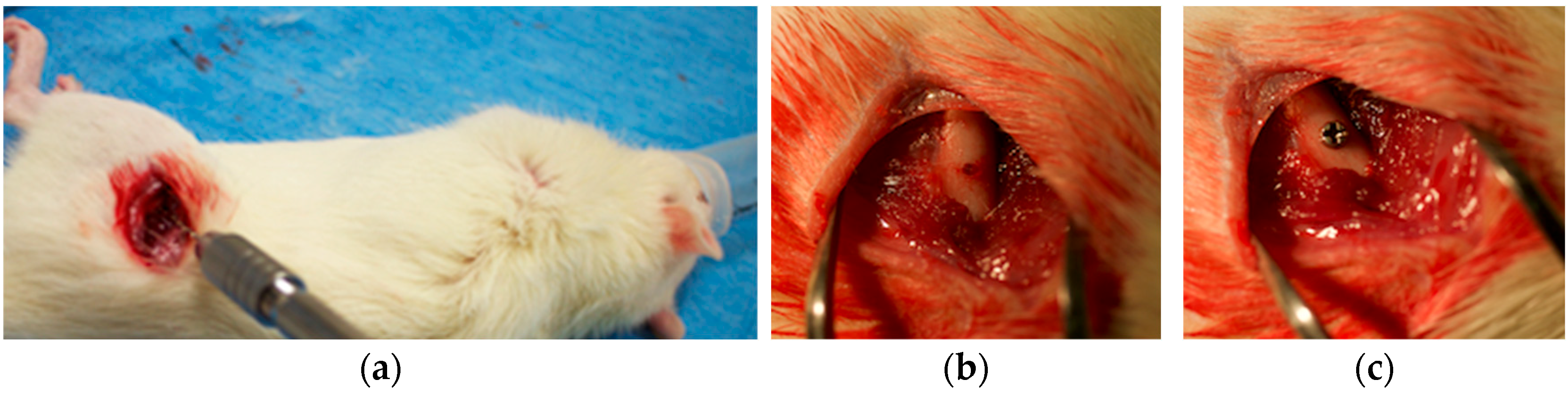 Materials 18 03156 g002