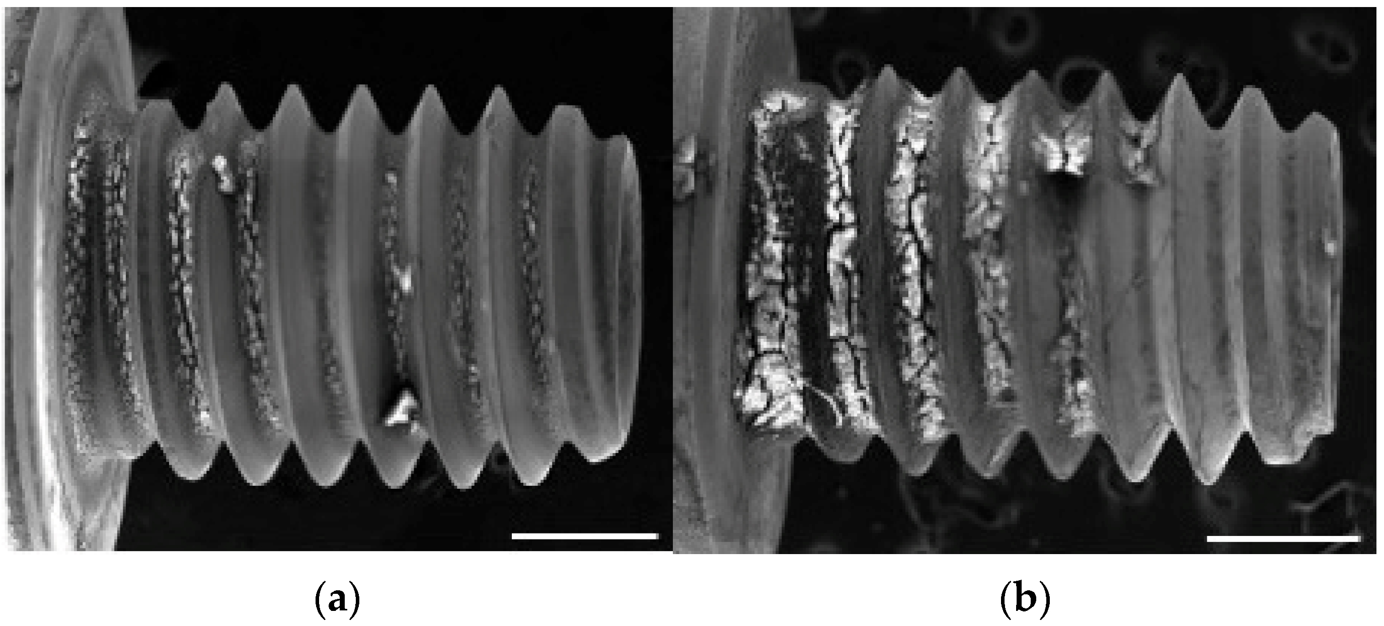 Materials 18 03156 g004a