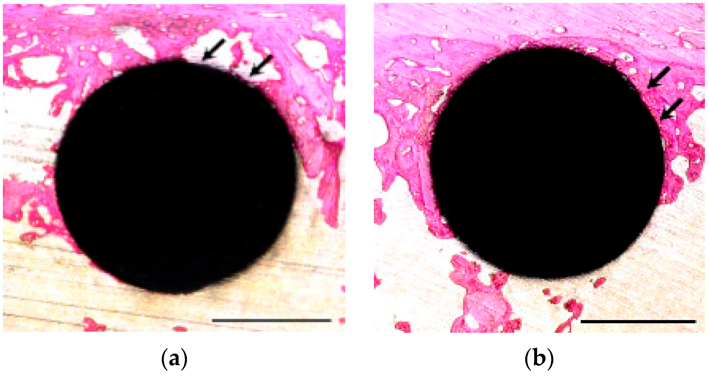 Materials 18 03156 g007a