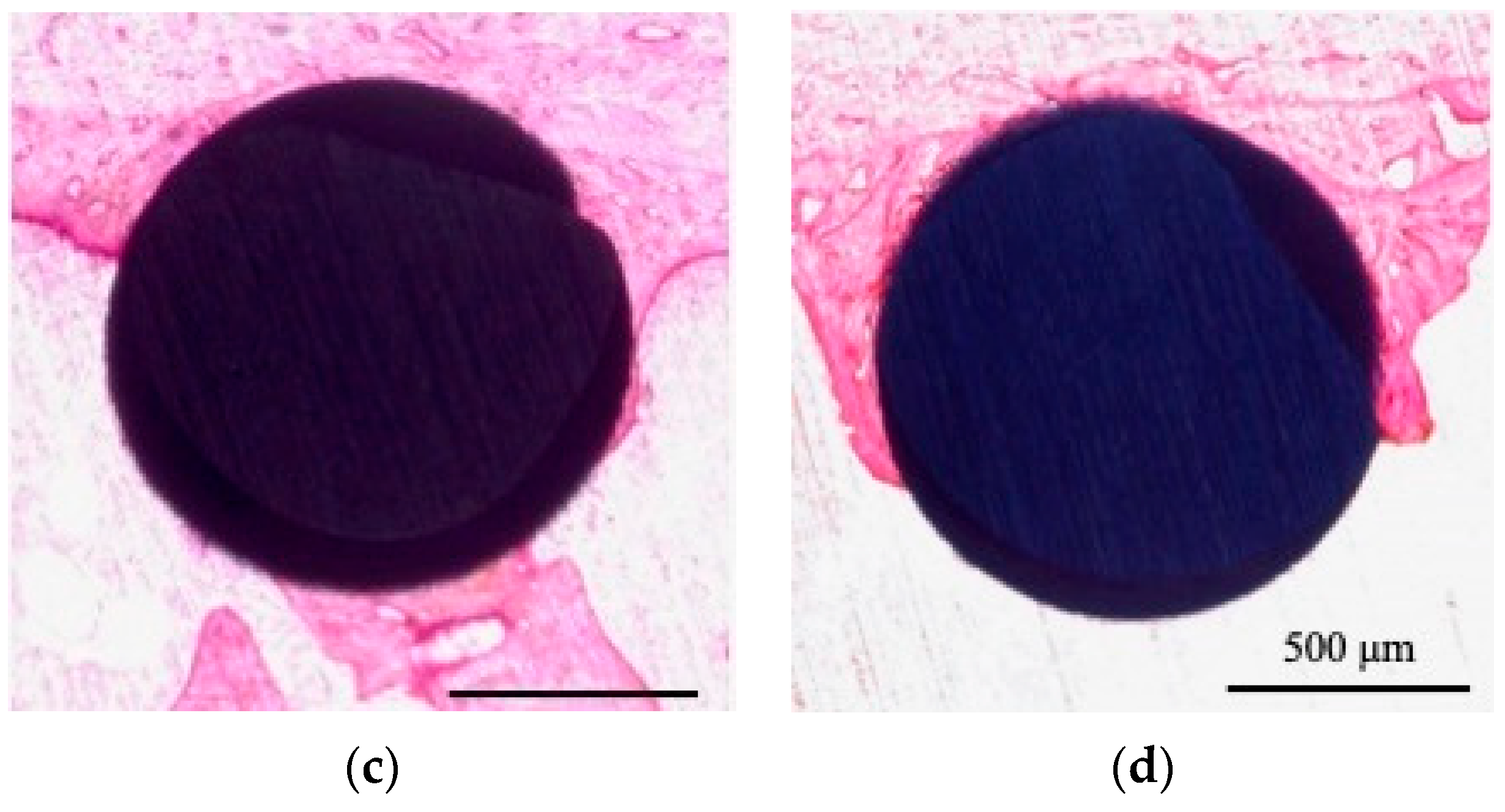 Materials 18 03156 g007b