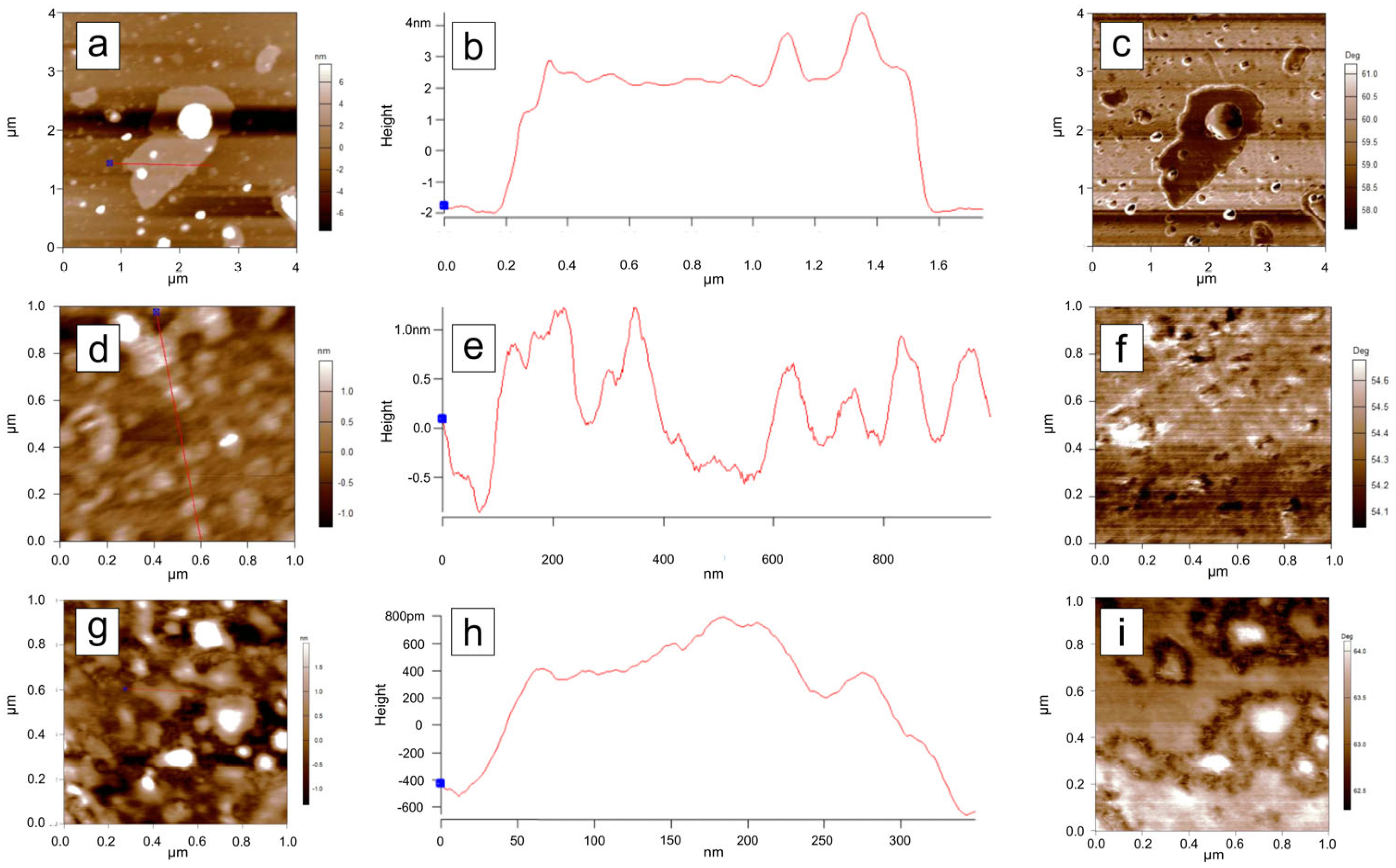 Materials 18 03162 g009