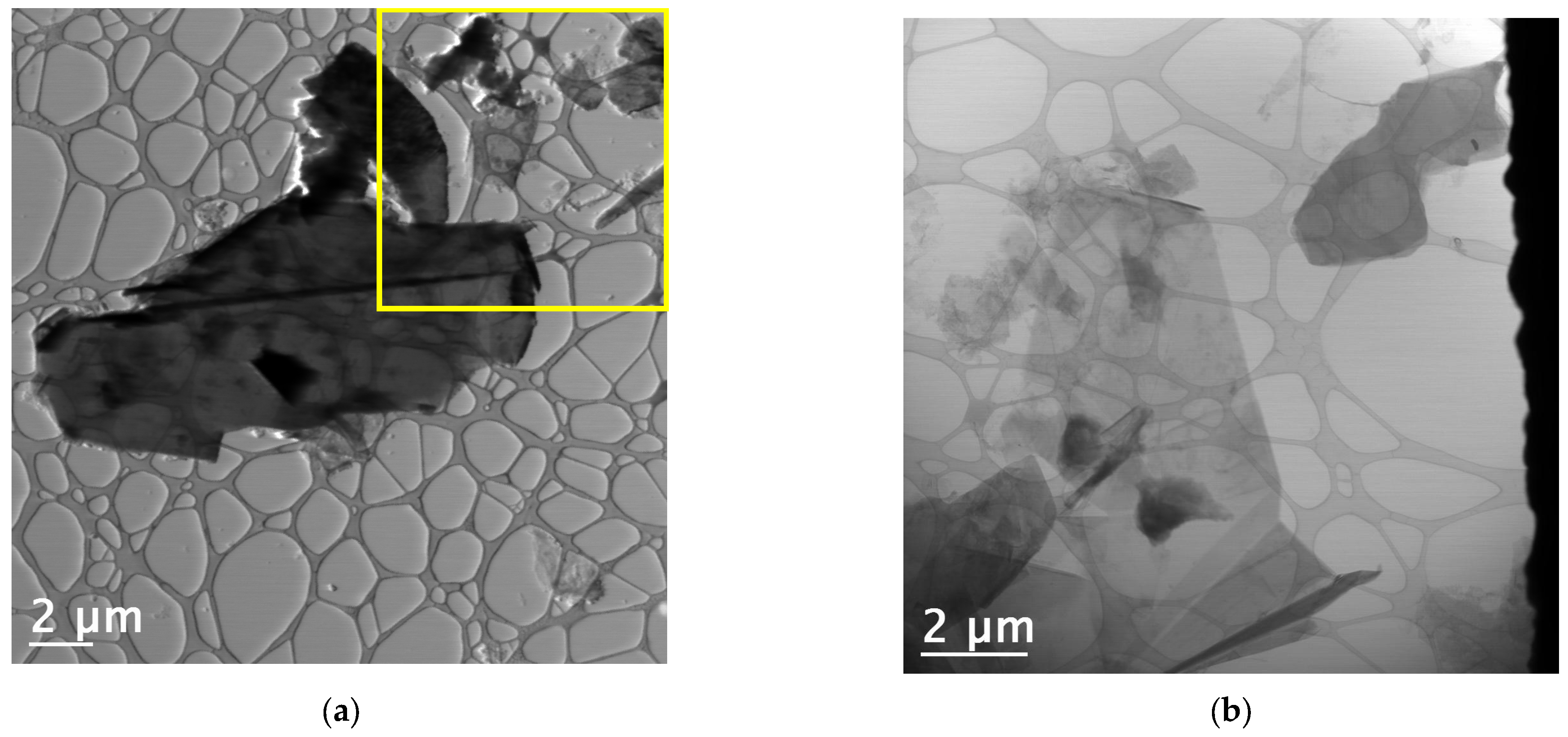 Materials 18 03162 g012