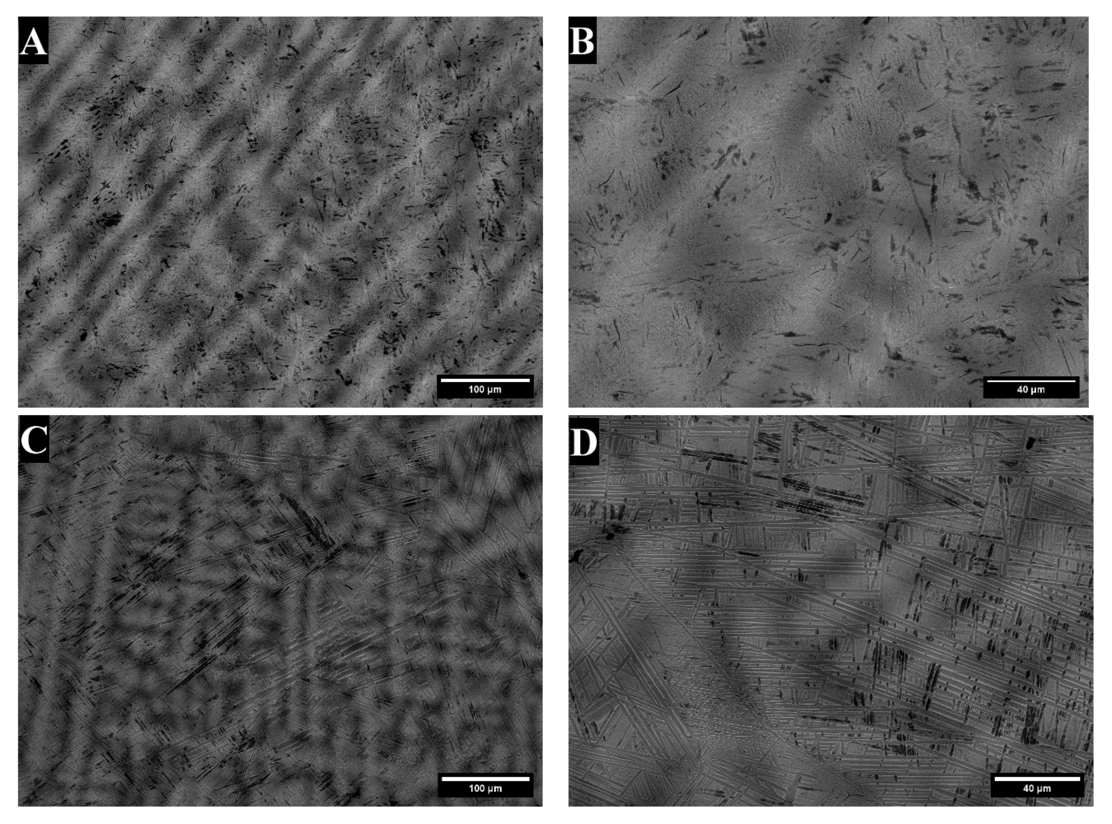 Materials 18 03163 g002