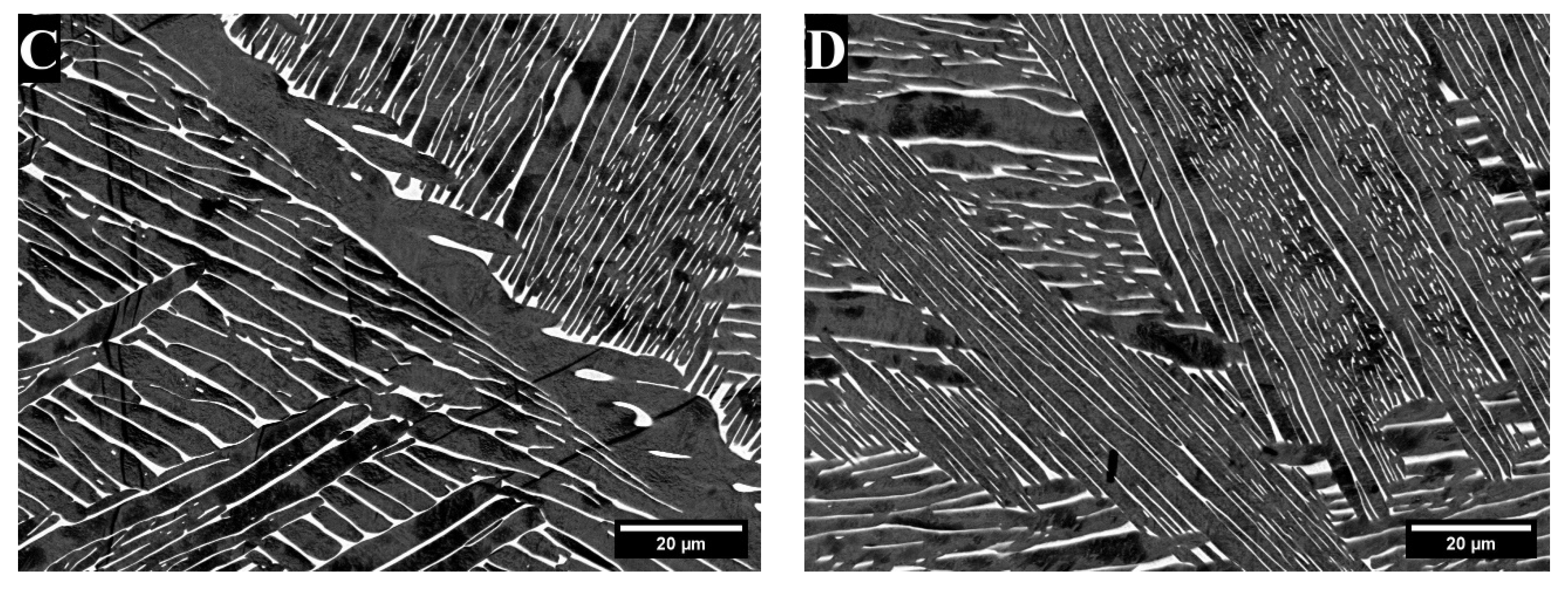 Materials 18 03163 g005b