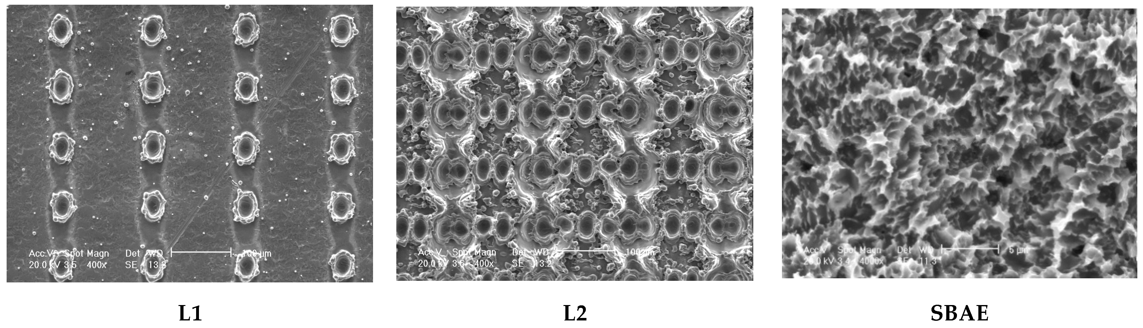 Materials 18 03165 g002