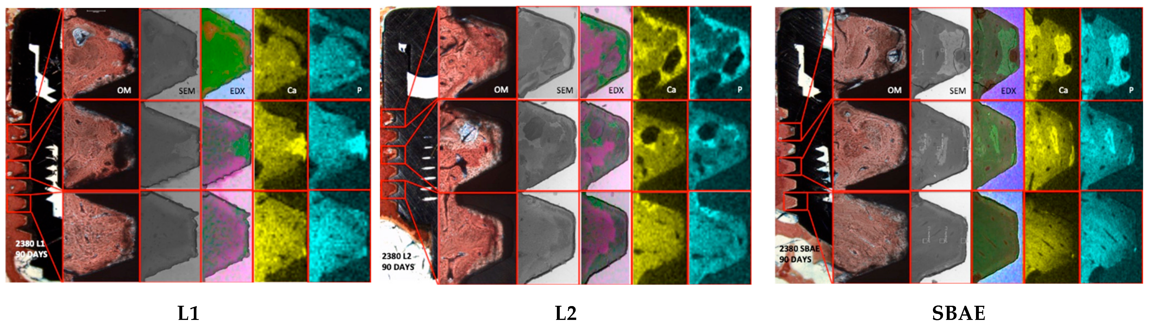 Materials 18 03165 g004
