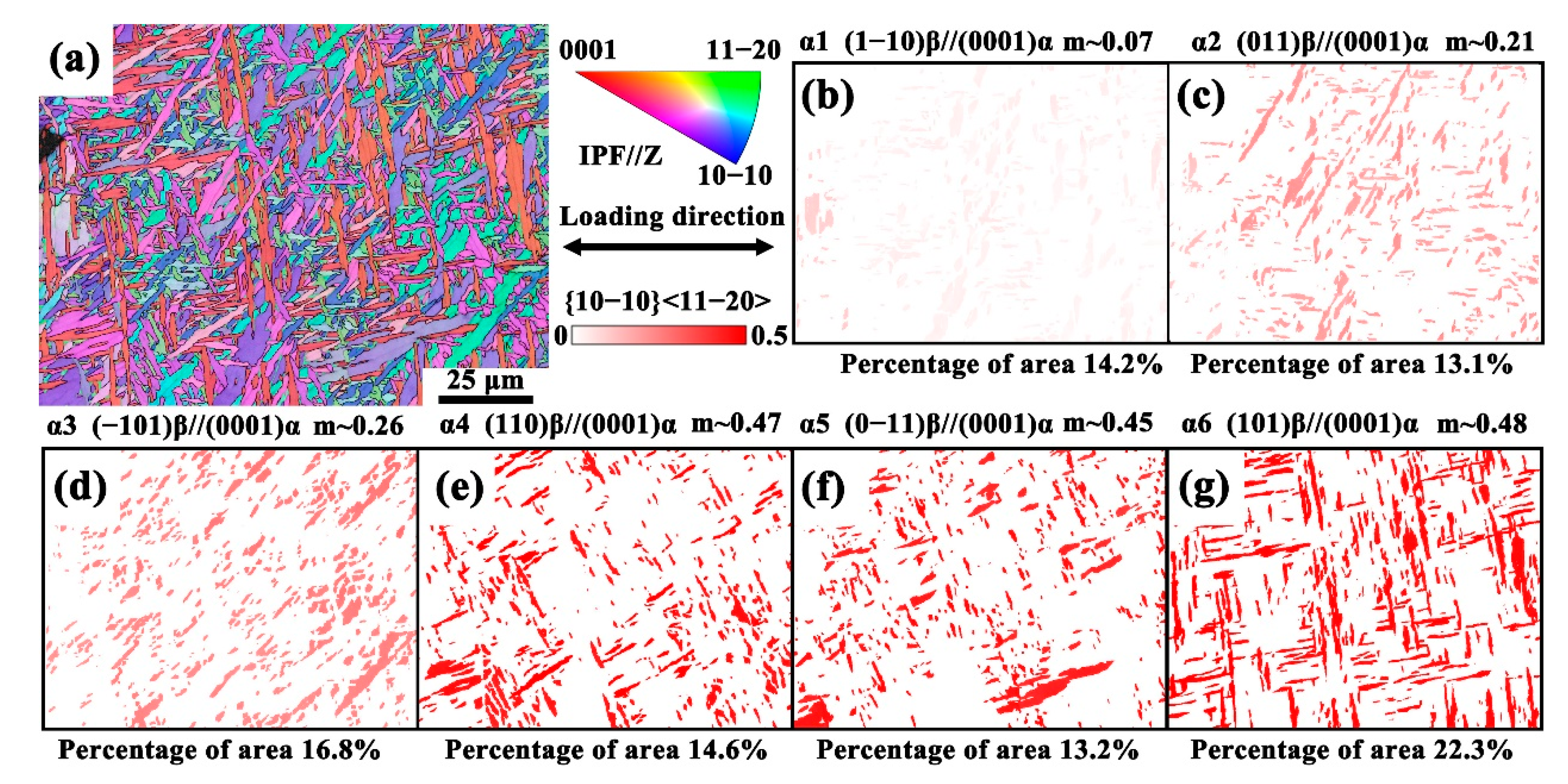 Materials 18 03169 g005
