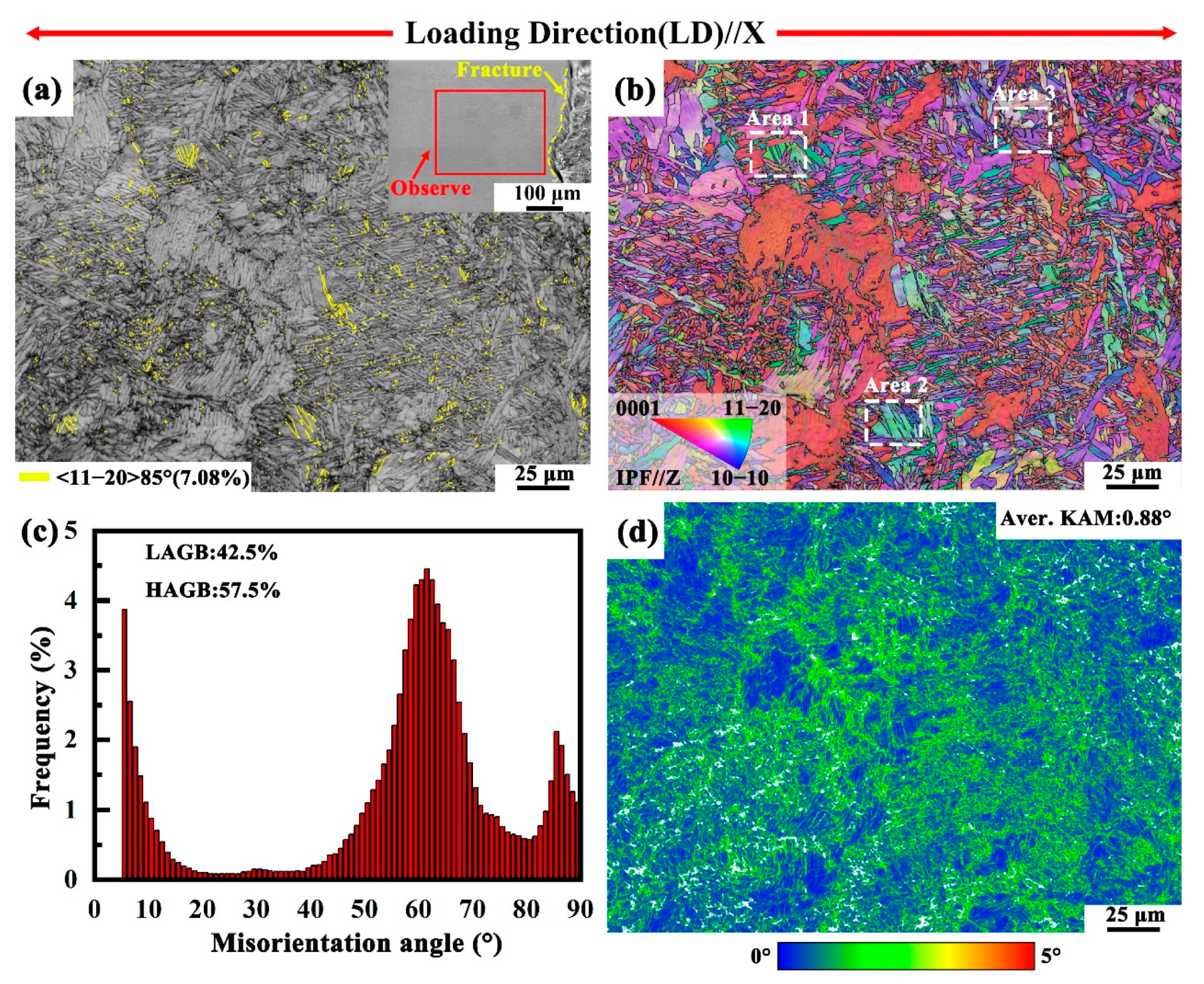Materials 18 03169 g008
