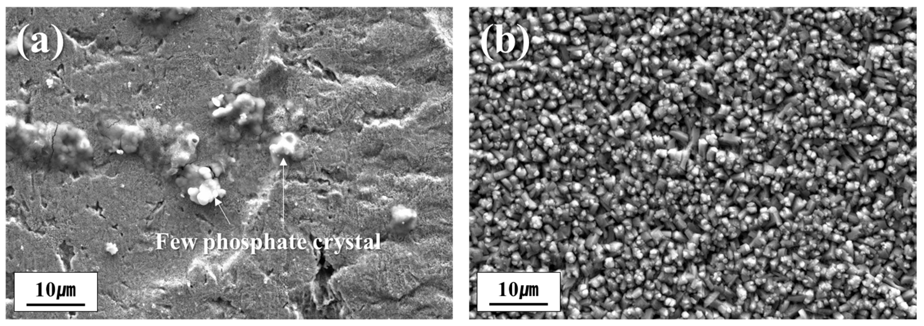 Materials 18 03170 g006