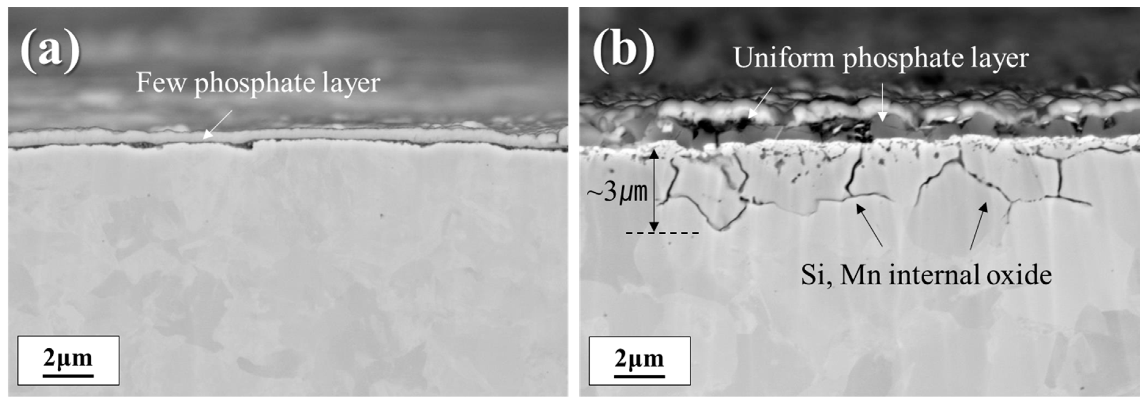 Materials 18 03170 g007