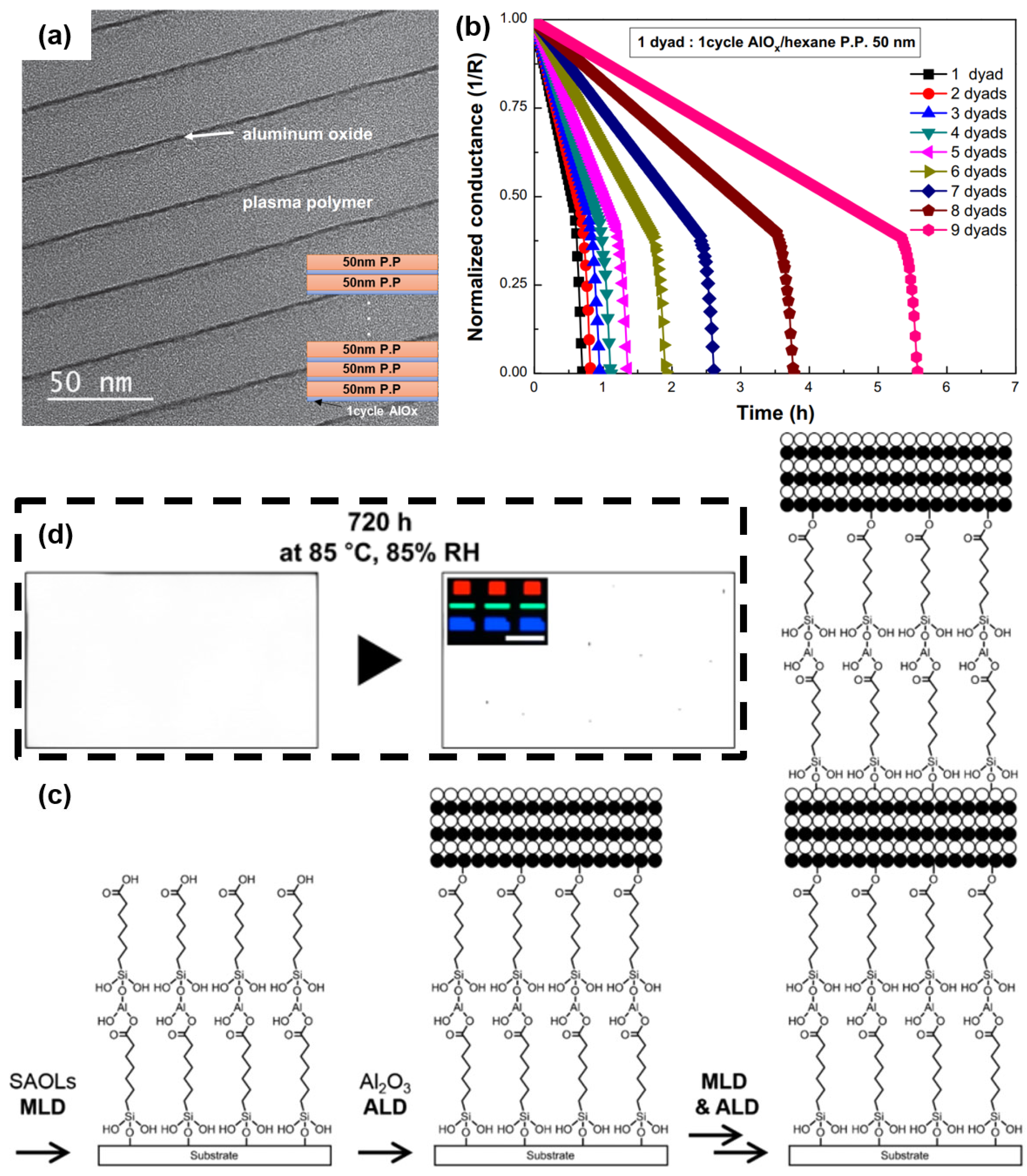 Materials 18 03175 g024