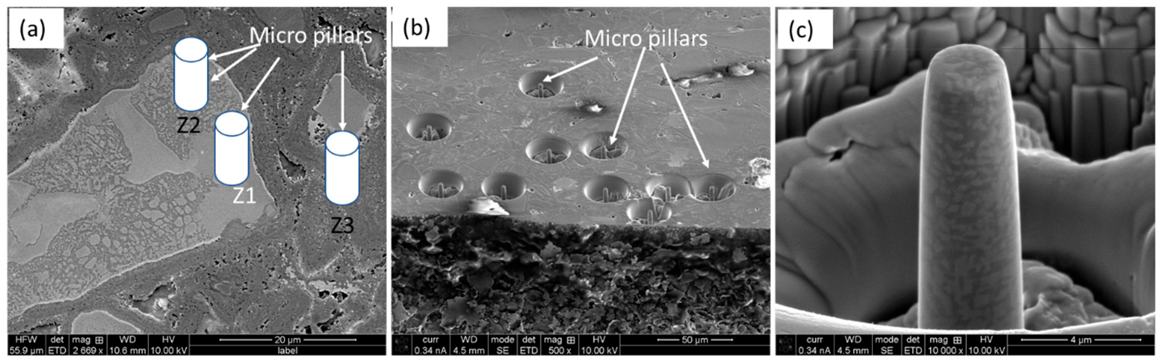 Materials 18 03179 g005