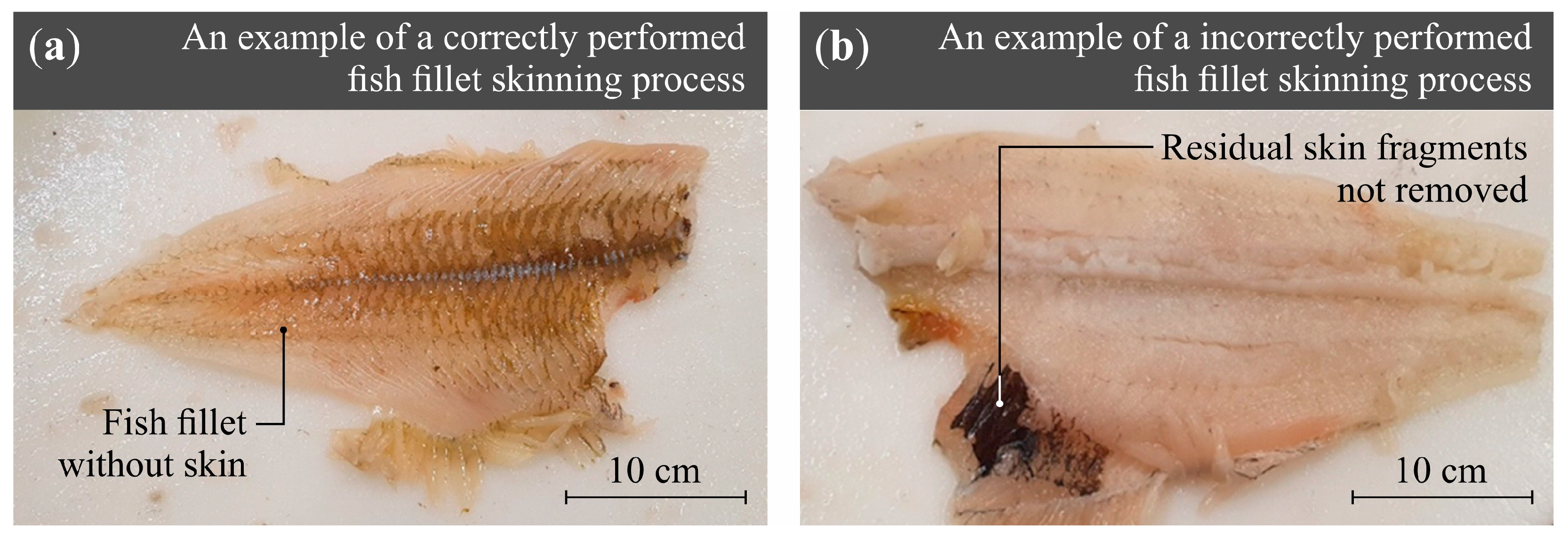Materials 18 03191 g001