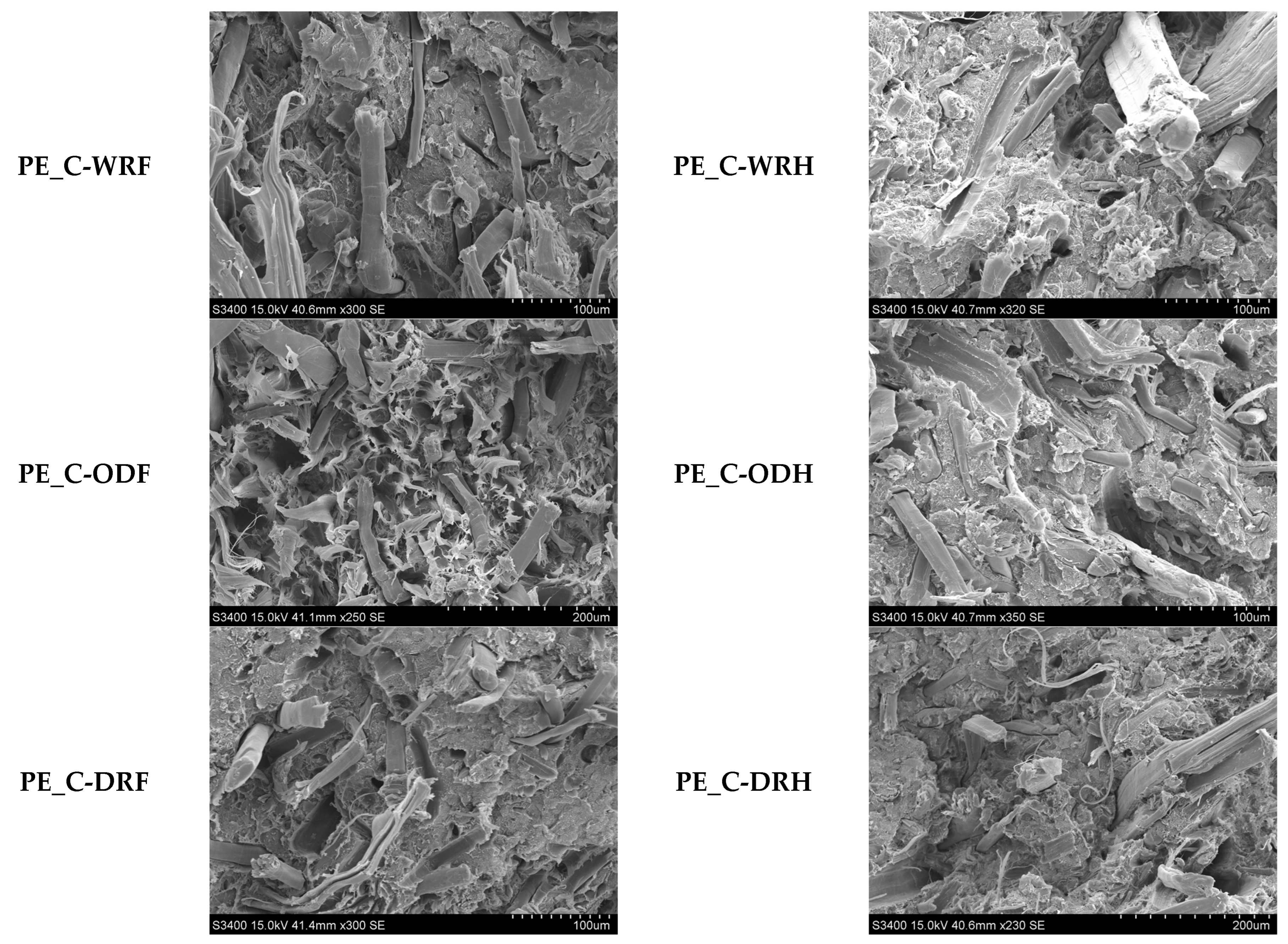 Materials 18 03200 g006