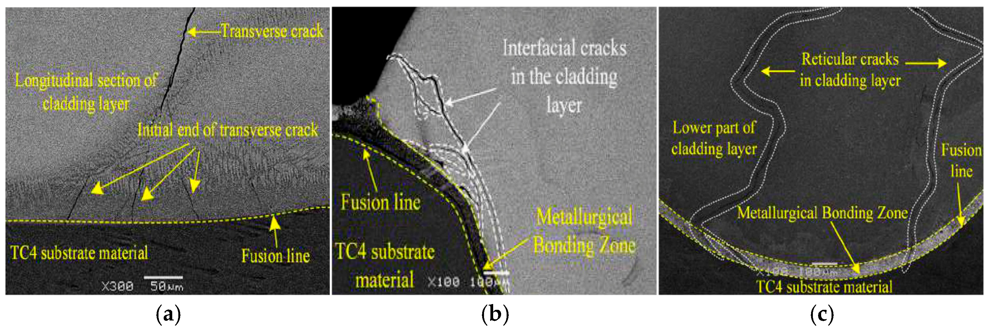 Materials 18 03206 g006