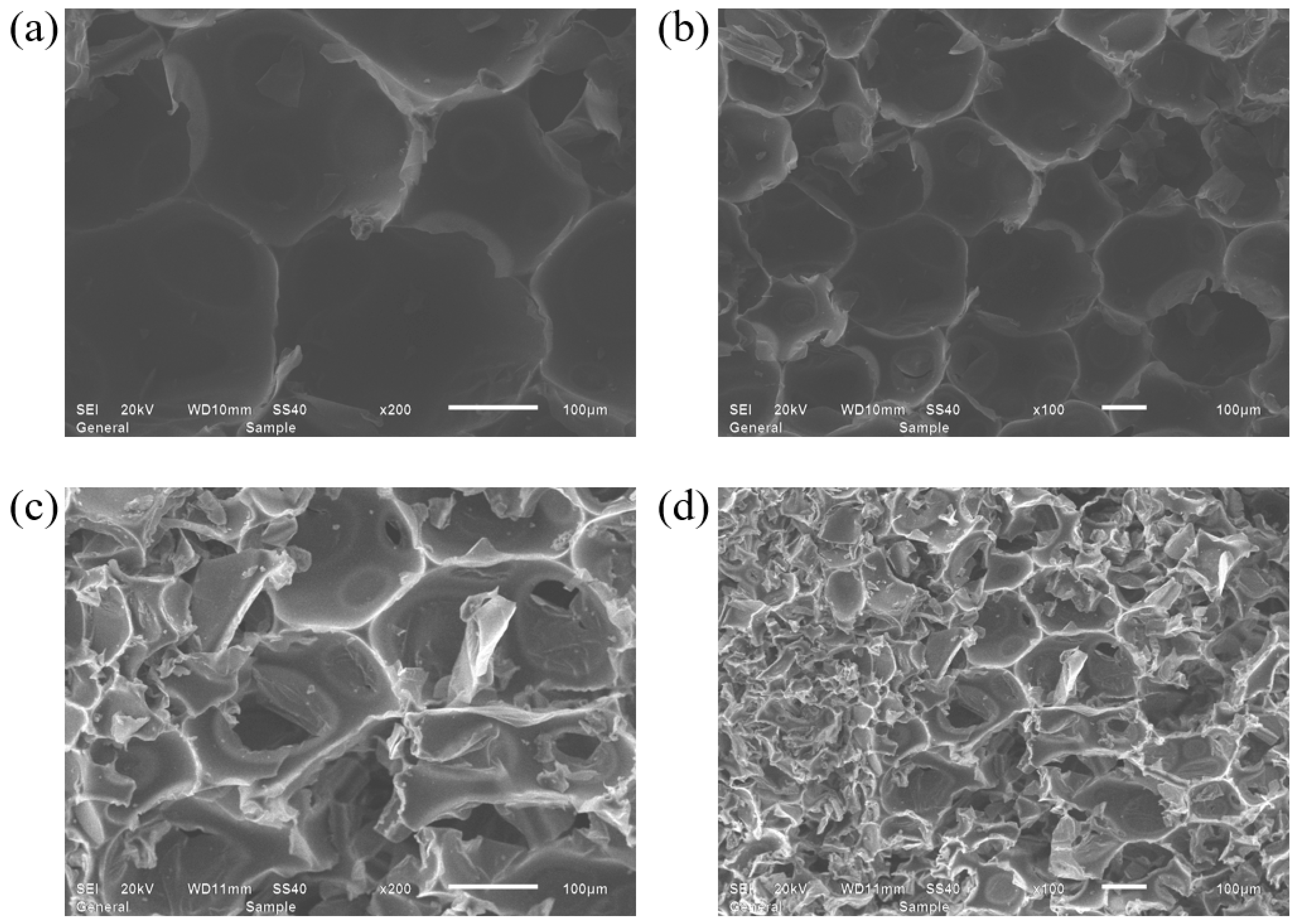 Materials 18 03208 g007