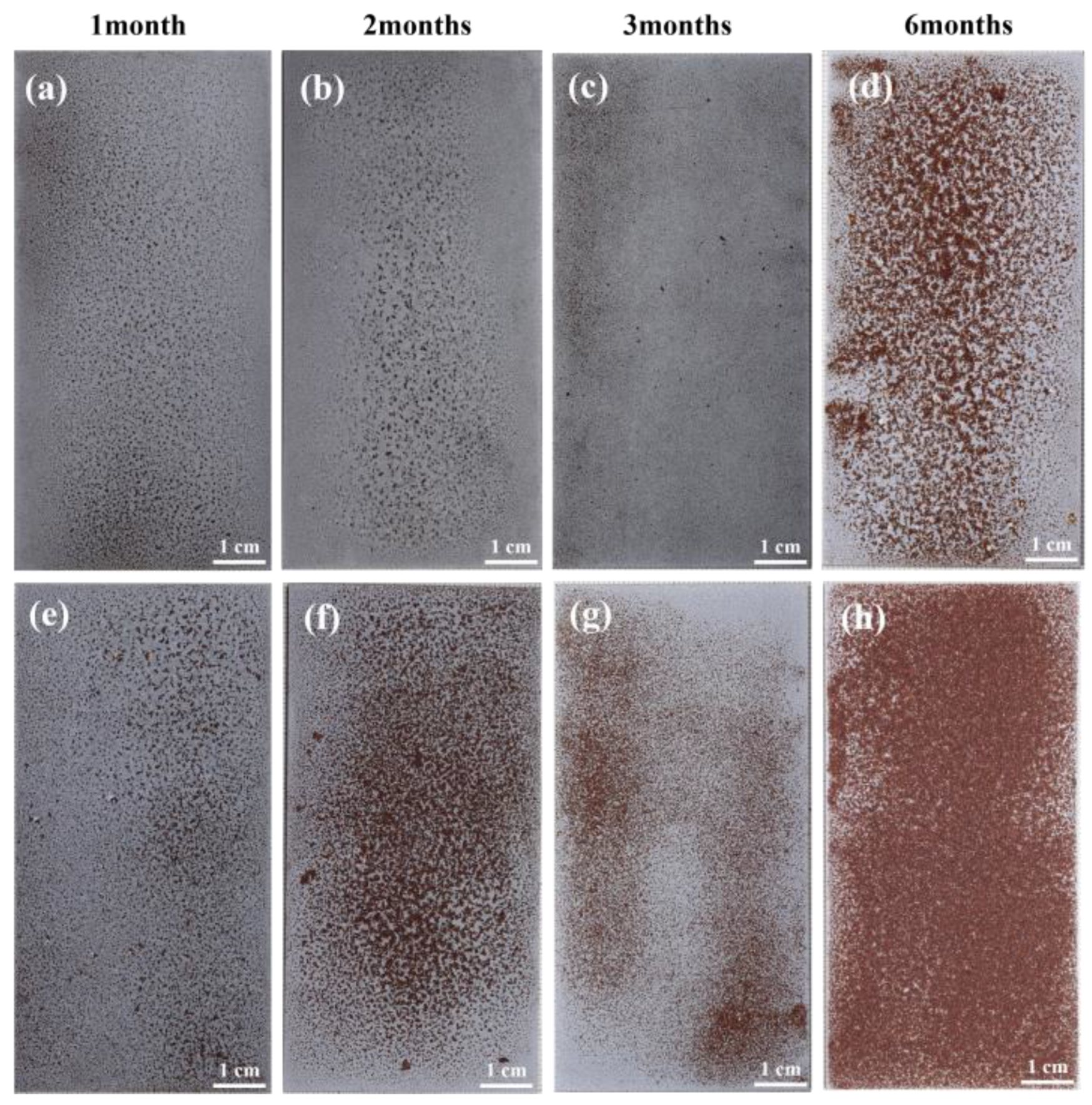 Materials 18 03215 g003