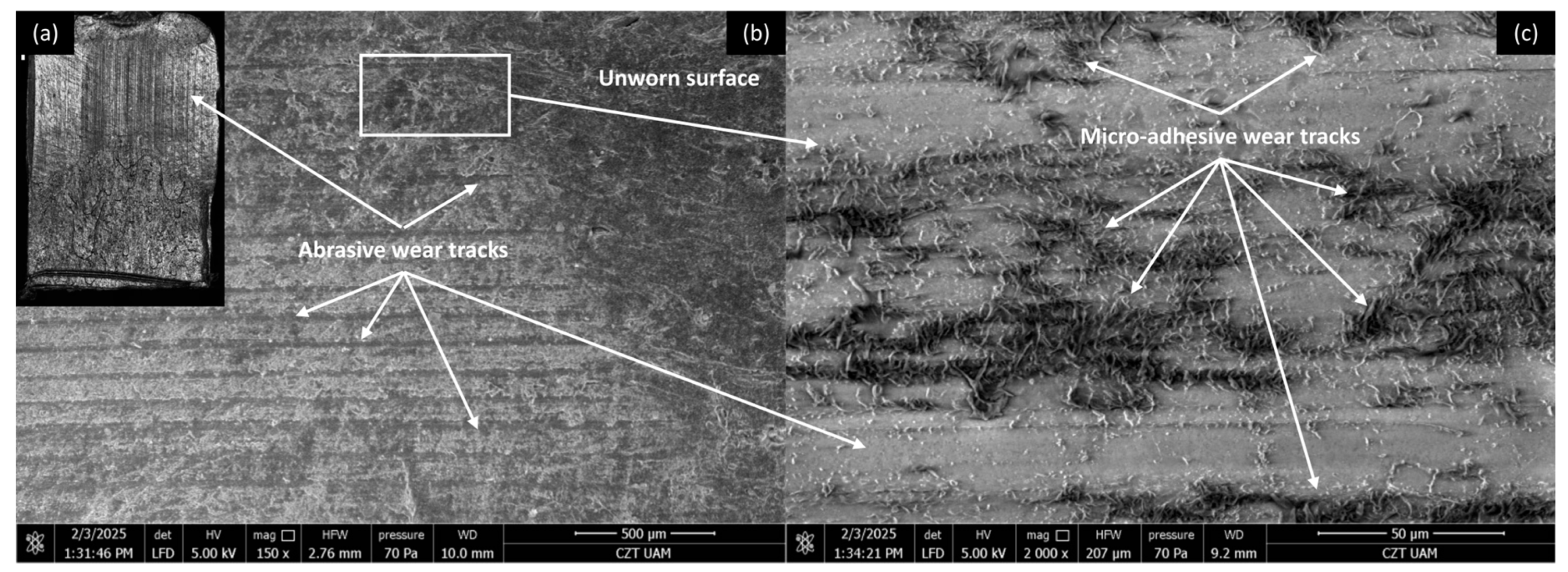 Materials 18 03216 g009