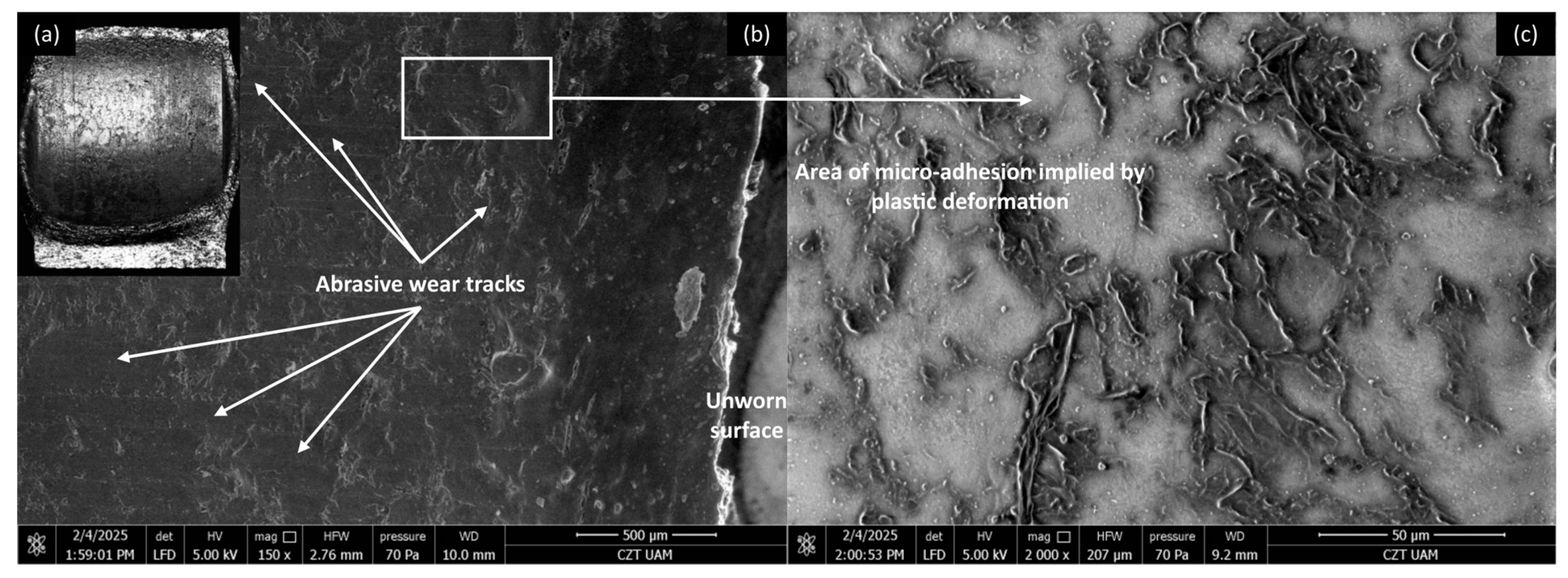 Materials 18 03216 g019