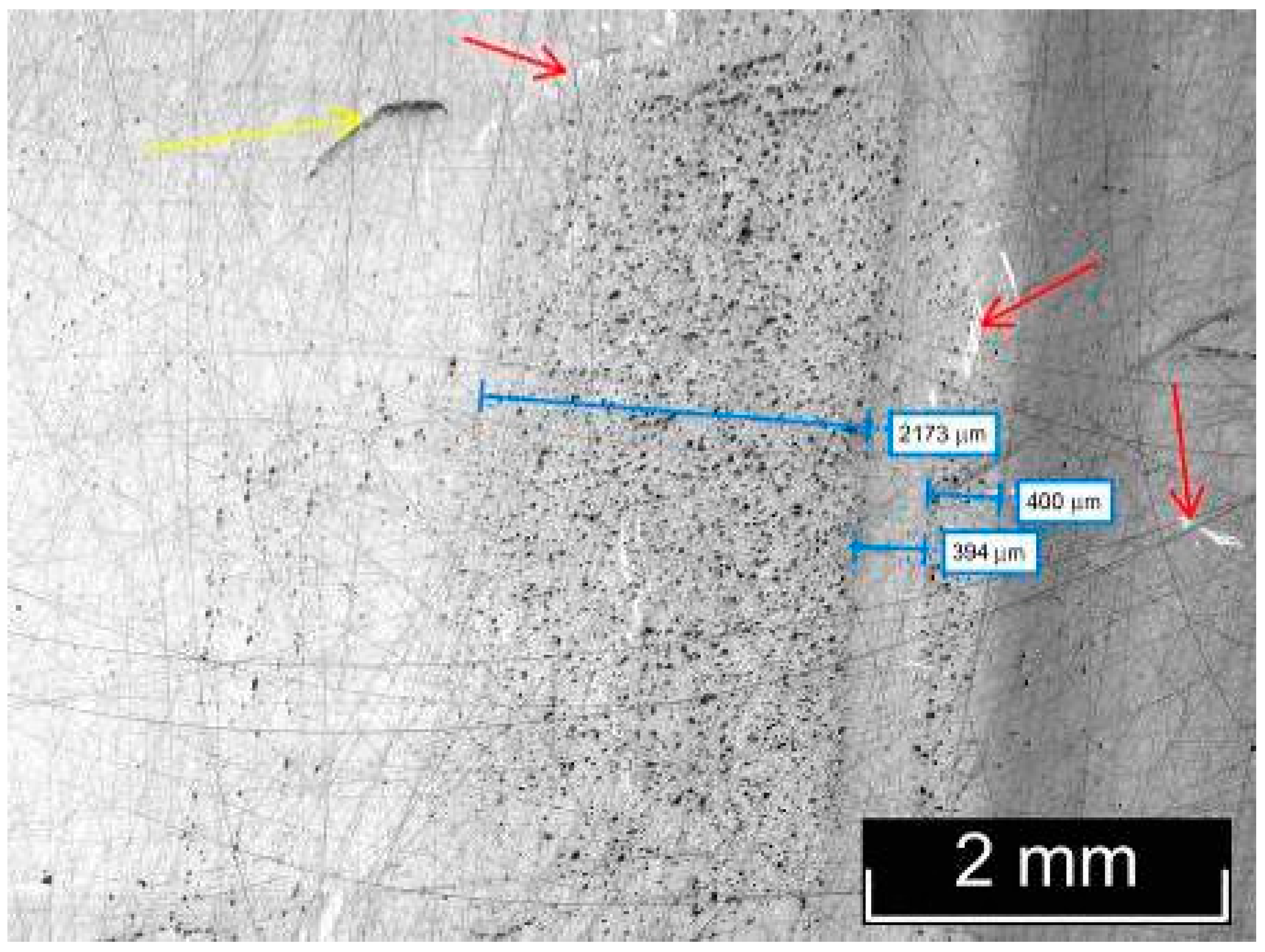 Materials 18 03218 g003