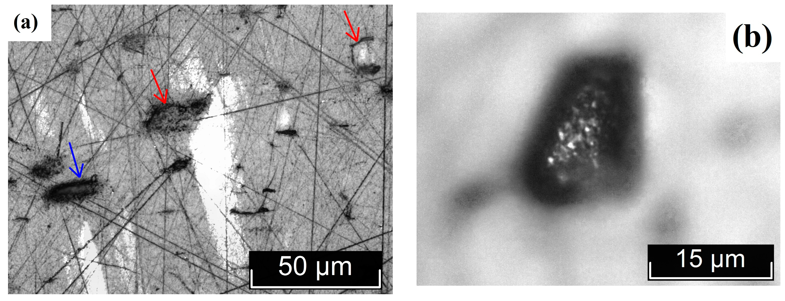 Materials 18 03218 g004