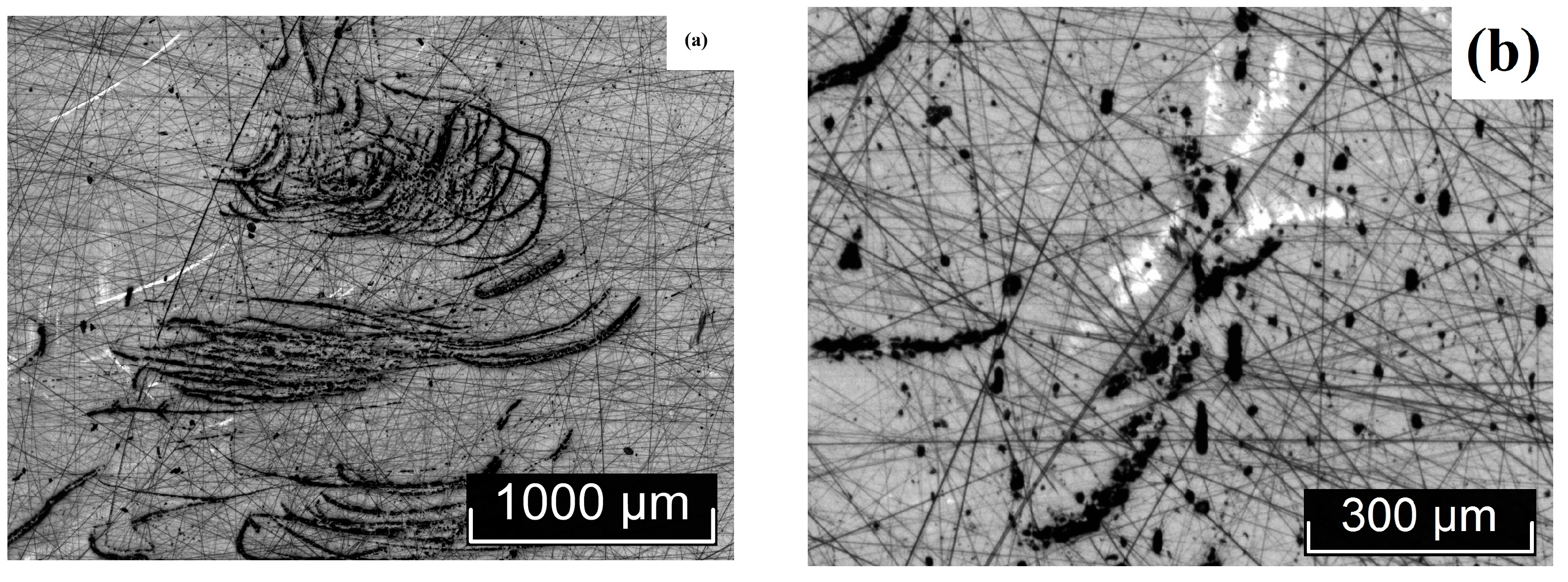 Materials 18 03218 g006