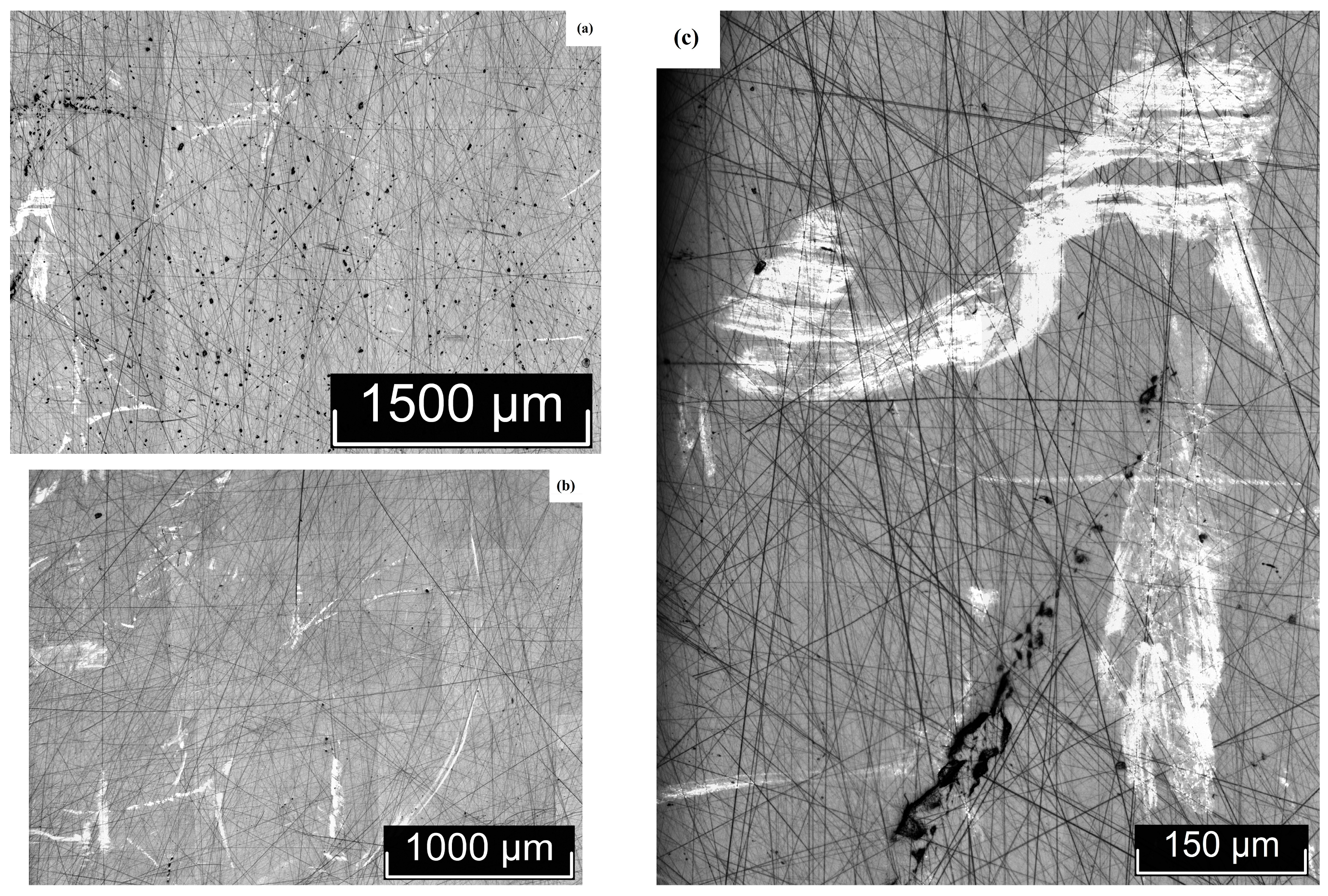 Materials 18 03218 g007