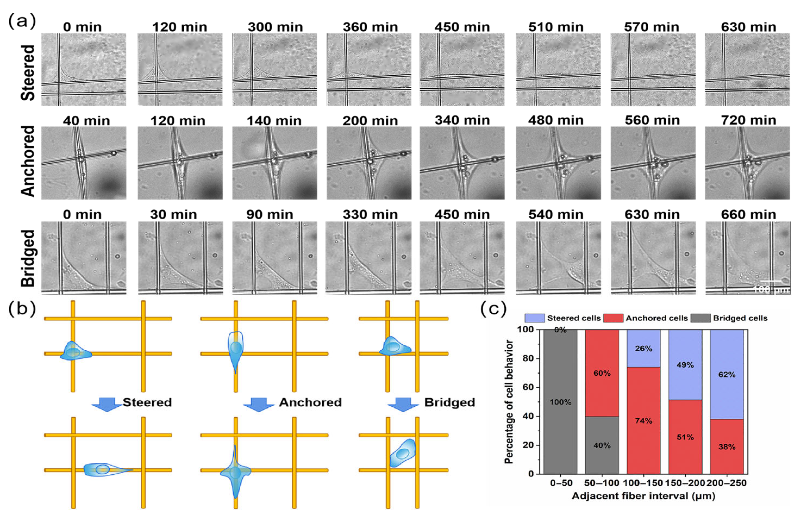Materials 18 03224 g007
