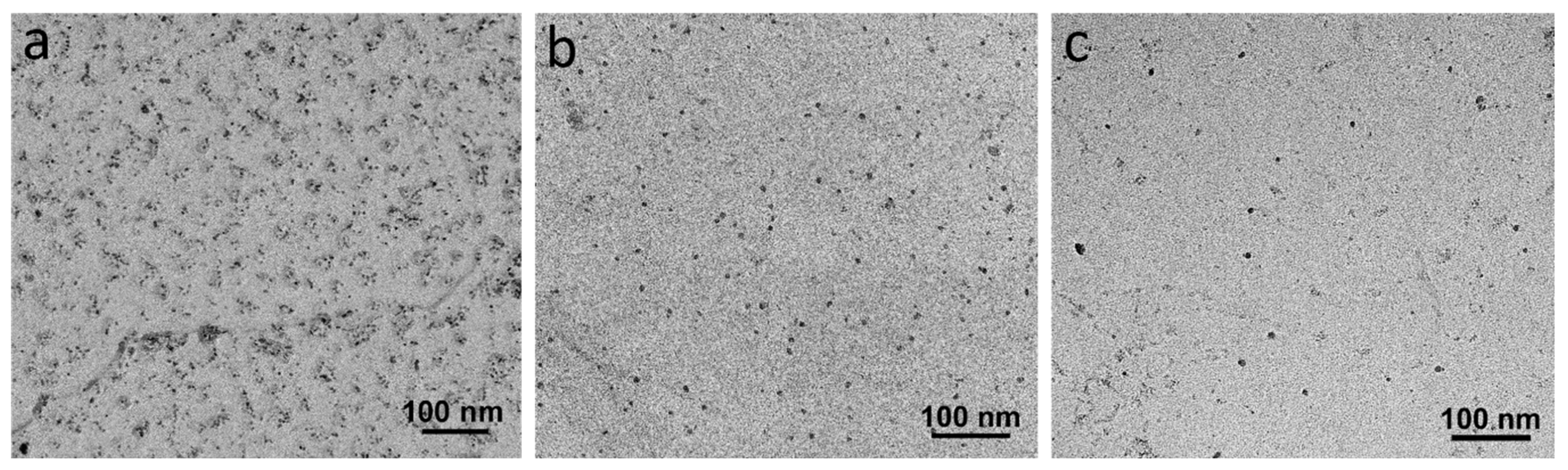 Materials 18 03234 g012