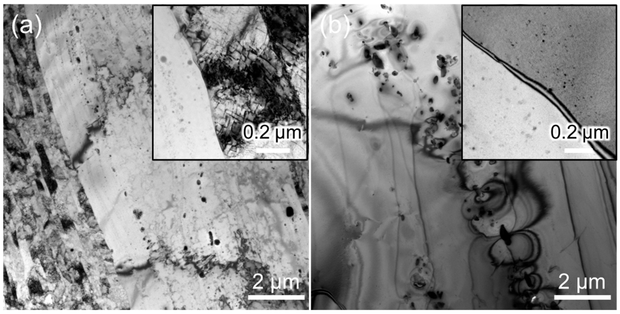 Materials 18 03246 g002