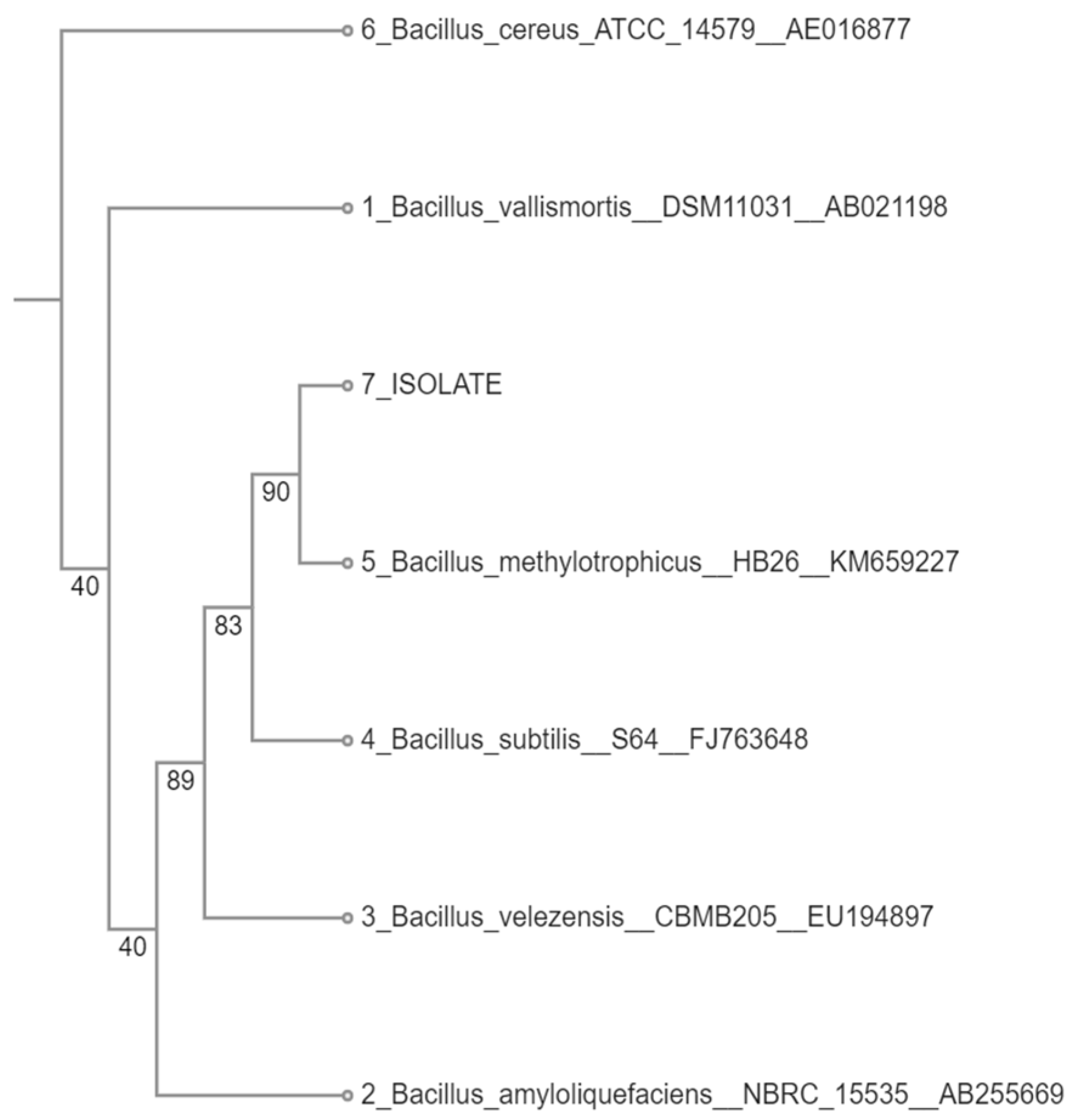 Materials 18 03256 g001