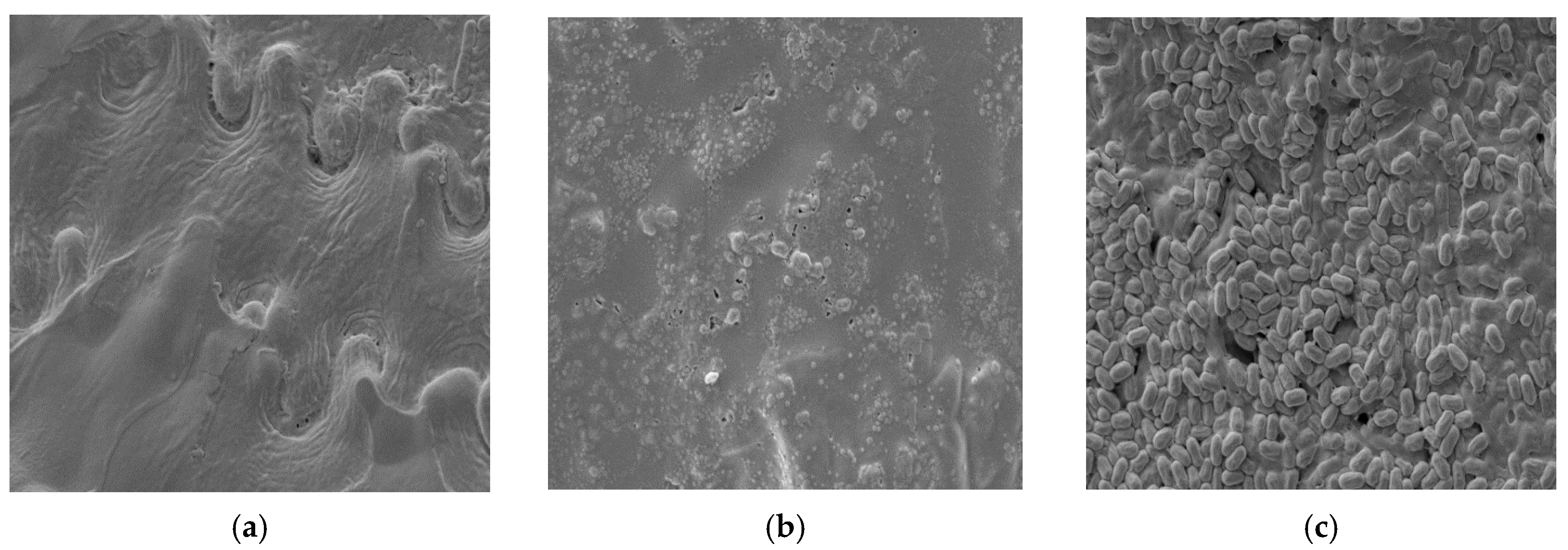 Materials 18 03256 g006