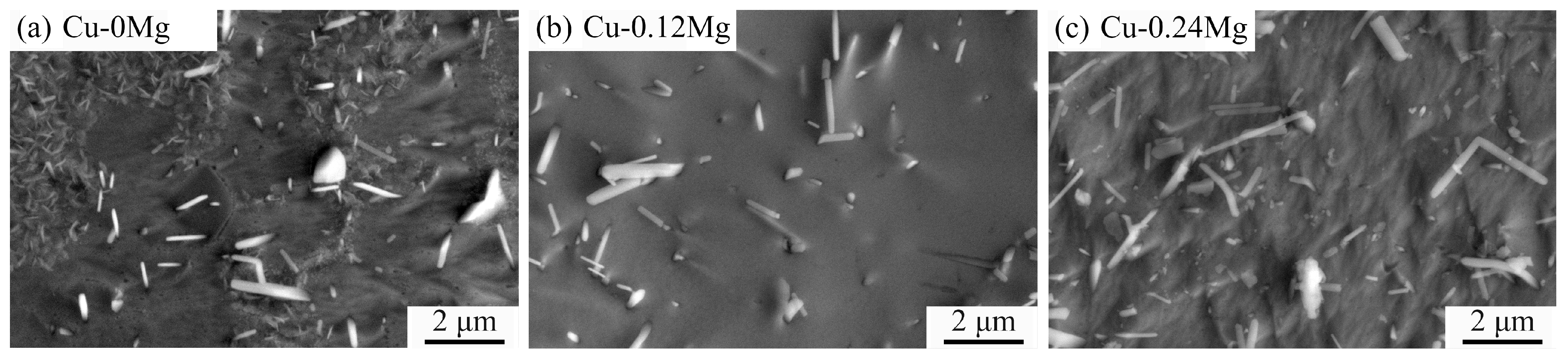 Materials 18 03263 g006