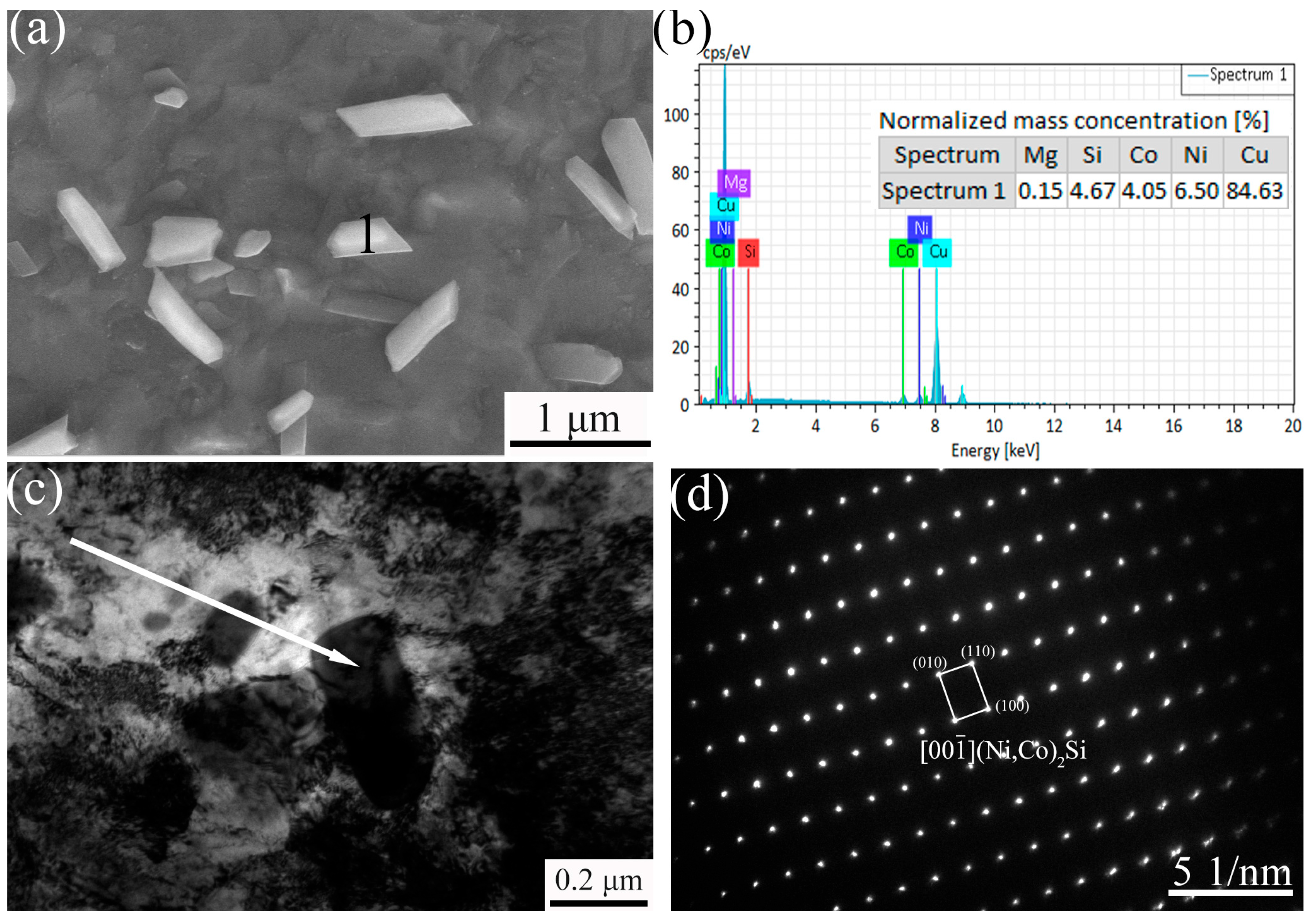 Materials 18 03263 g007