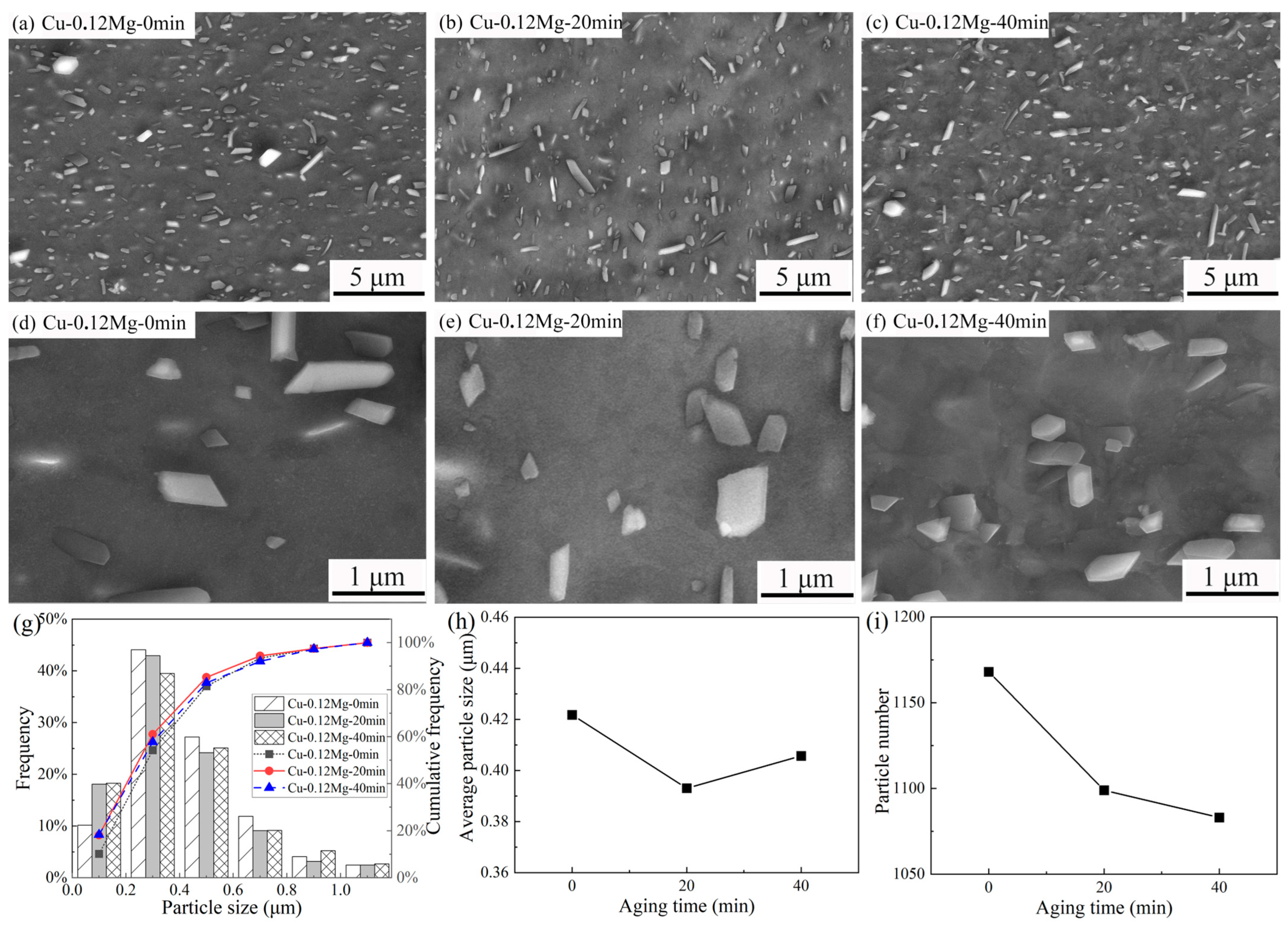 Materials 18 03263 g008