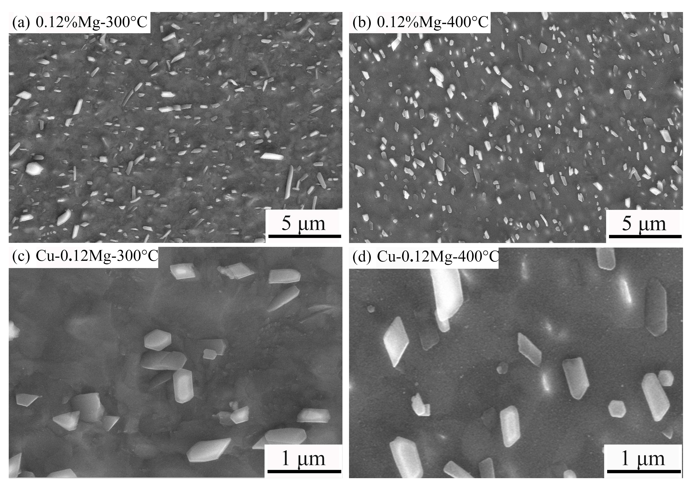 Materials 18 03263 g010