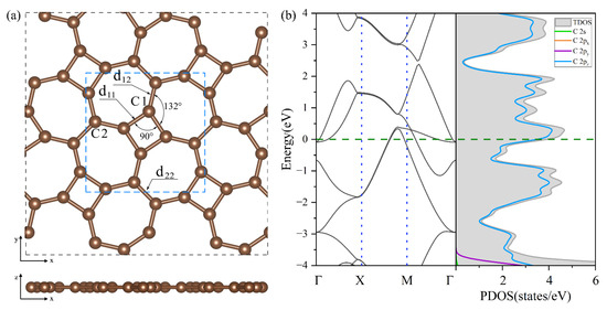 peace Thin Films of Homochiral Metal–Organic Frameworks for