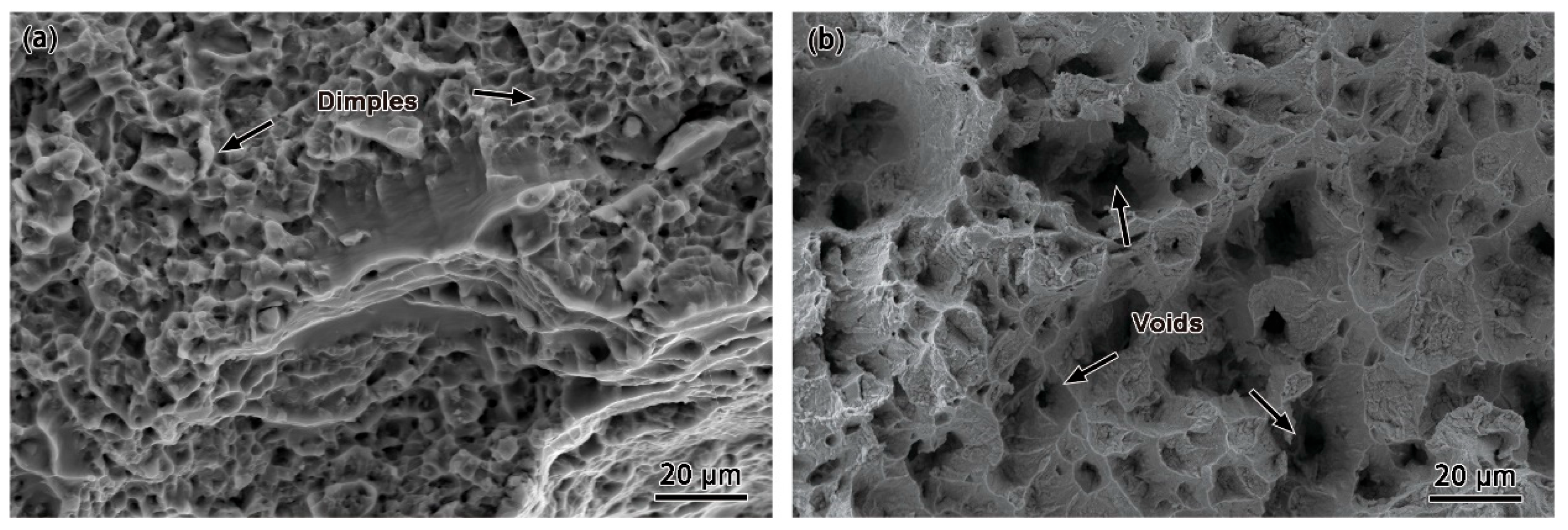 Materials 18 03270 g004