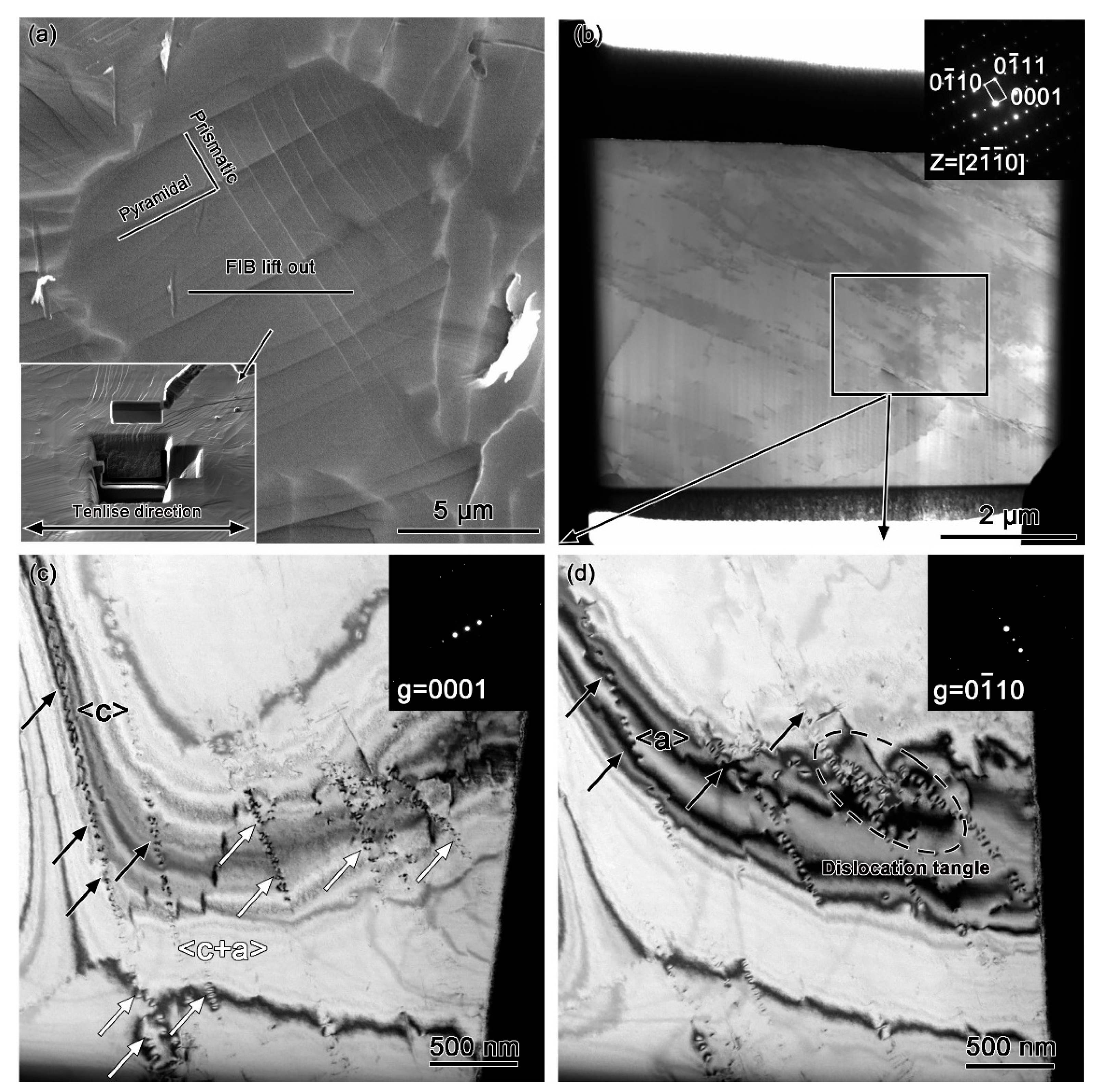 Materials 18 03270 g009