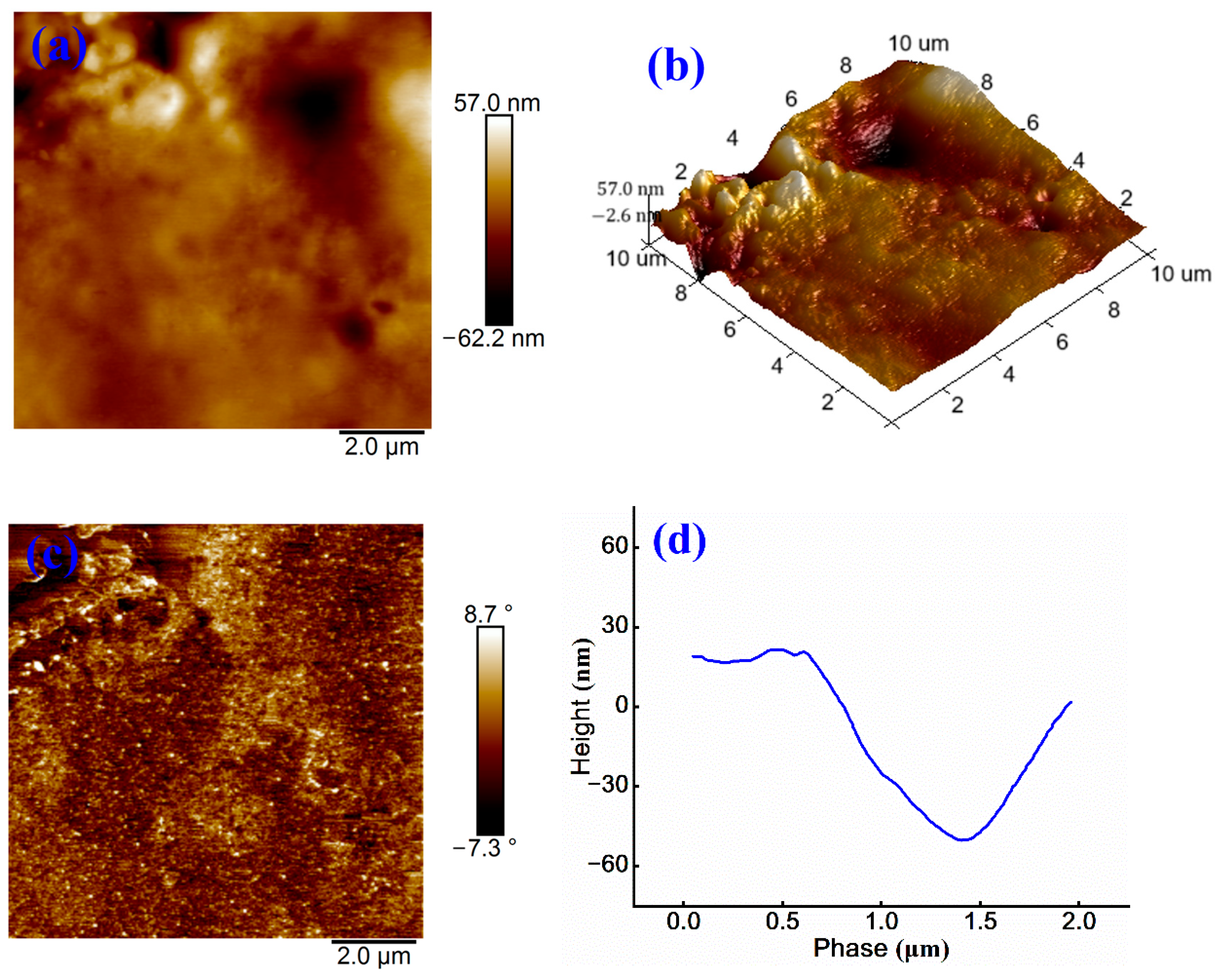 Materials 18 03280 g005