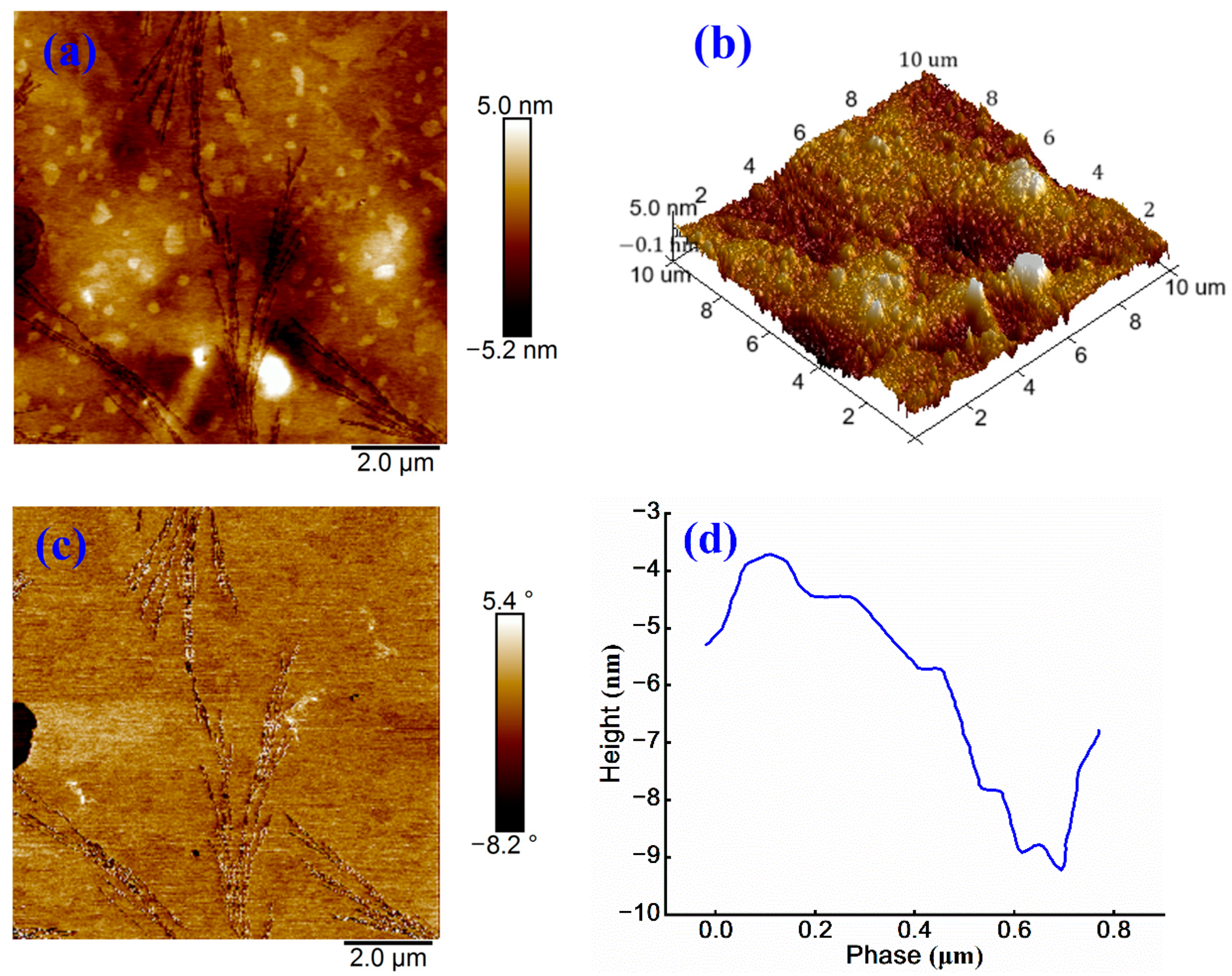 Materials 18 03280 g007