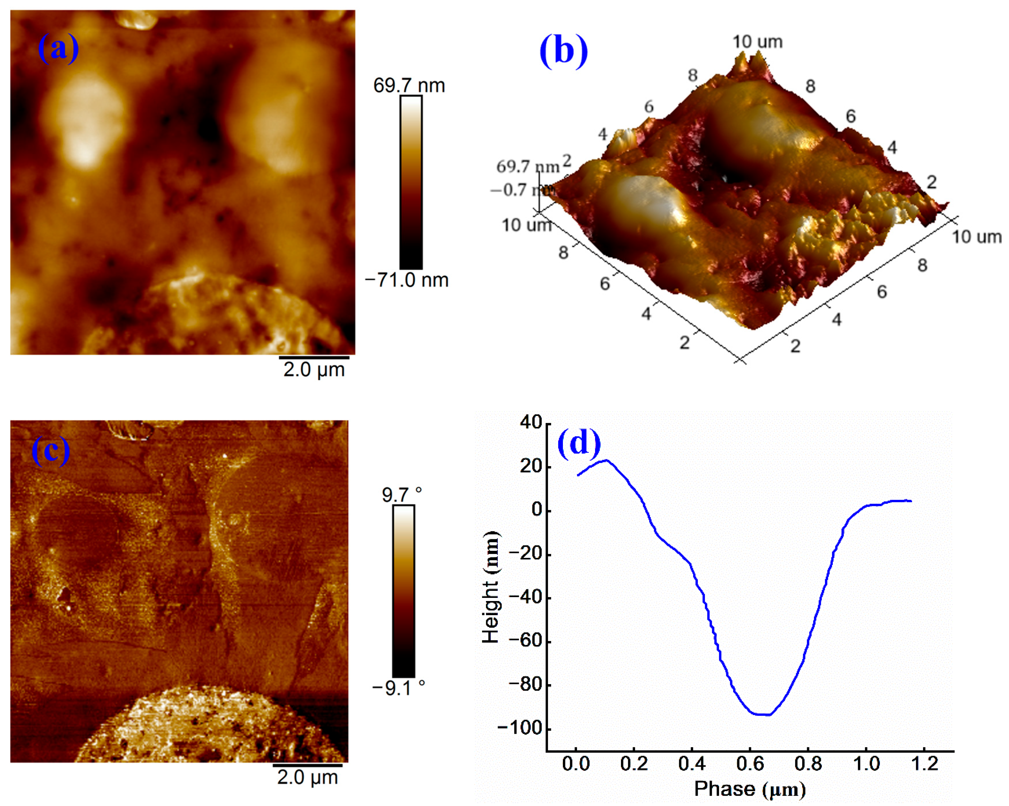 Materials 18 03280 g008