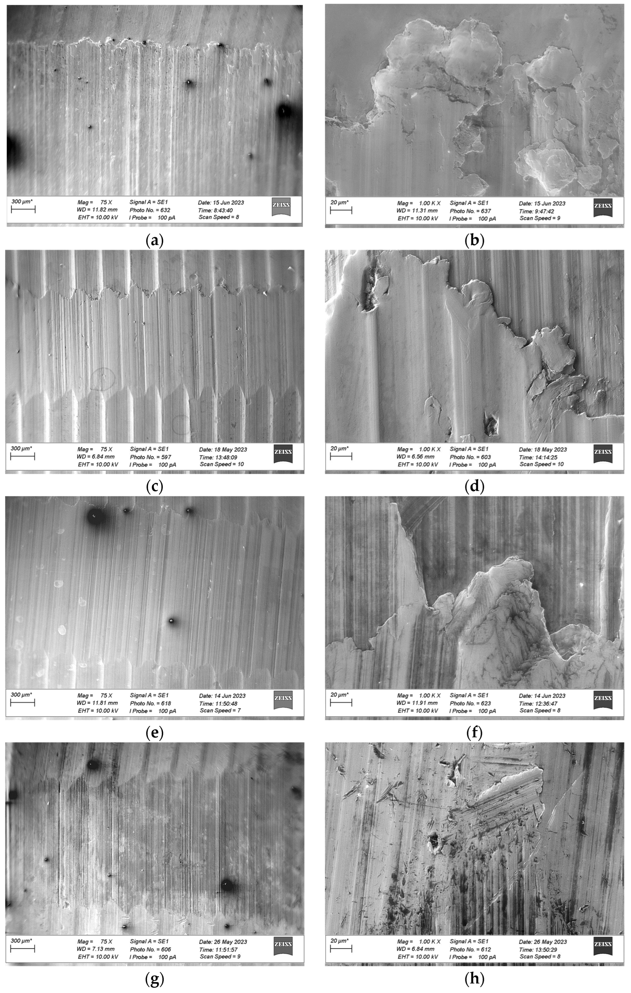 Materials 18 03283 g008